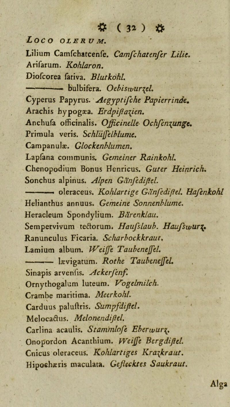 Loco OLERU M. Lilium Camfchatcenfe. Camfchatenfer Lilit, Arifarum. Kohlaron. Diofcorea fariva. Blutkohl. —- bulbi fera. Oehistvur^d. Cyperus Papyrus. Aegyptifche Papierrinde» Arachis bypogsea. Erdpijia:{ien, Anchufa oflficinalis. Officindle Ochfen^ungc, Primula veris. Schliijjelblumc. CampanulsE. Glockenhlumm. Lapfana communis. Gcmeincr Rainkohl. Chenopodium Bonus Henricus. Guter Hdnrich, Sonchus alpinus. Alptn Ganfediftd. ——oleraceus. Kohlartige Ganfediffd. Hafcnkohl Helianthus annuus. Gemdne Sonnmhlume. Heracleum Spondylium. Bdrenklau. Sempervivum tedorum. Haufslauh. Haufswur:^* Ranunculus Ficaria. Scharhockkraut, Lamium album. Id^djje, Taiihcnejfd. — Ixvigatum. Rothe TaubeneJfeL Sinapis arvenfis. Ackerfknf. Ornythogalum luteum. Vogdmilch. Crambe maritima. Meerkohl. Carduus paluftris. Sumpfdijid. ' Melocadlus. Mdonendijid. Carlina acaulis. Stammloft Eberwur:^. Onopordon Acanthium. Wdjjc Bergdiftd. Cnicus oleraceus. Kohlartiges Kraikraut. Hipochsris maculata. Gejlecktes Saukraut. Alga