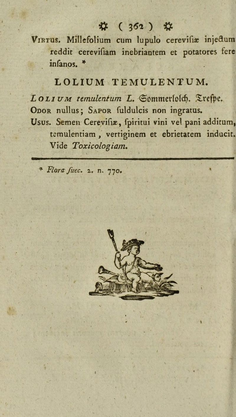 « ( ^ ViBTUS. Millefolium cum lupulo cerevifiae injedum reddit cerevifiam inebriantem et potatores fere infanos. ♦ ^ LOLIUM TEMULENTUM. Lolium temuUnium L. ©ommerlolc^. J^lrcfpe. Odor nullus; Sapor fuldulcis non ingratus. Usus. Semen Cerevifiam, fpiritui vini vel pani additum, temulentiam , verriginem et ebrietatem inducit. Vide Toxicologiam. * Flora Jiiec. %, n. 770. ’ I I