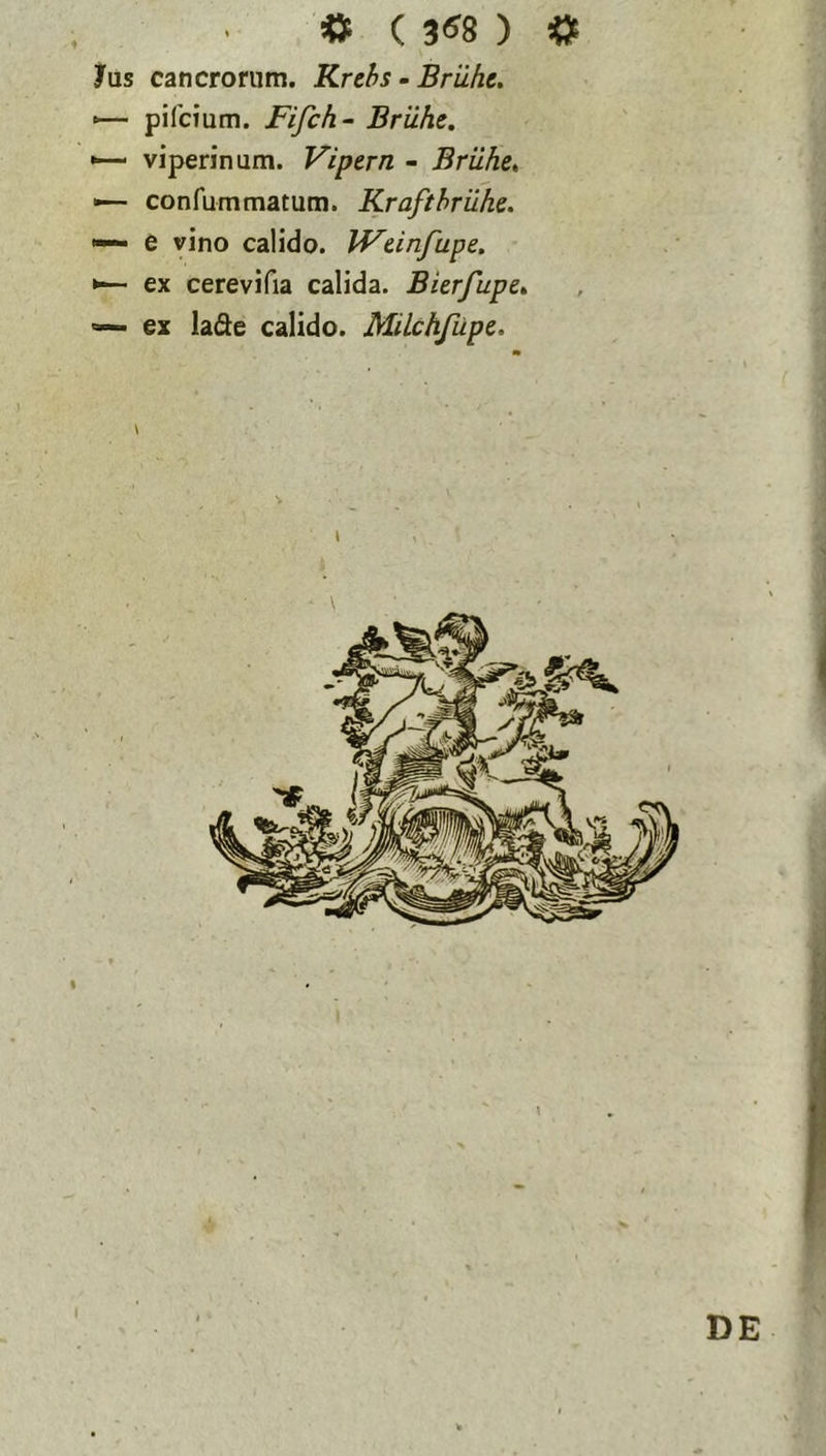 Jus cancrorum. Krehs - Briihc. •— pifcium. Fifch- Briiht. *— viperinum. Vipern - Brilhe* *— confummatum. Krafthrilke. ■— e vino calido. PFeinfhpe, ex cerevifia calida. Bierfupe» ex lade calido. MUchfiipc. m \