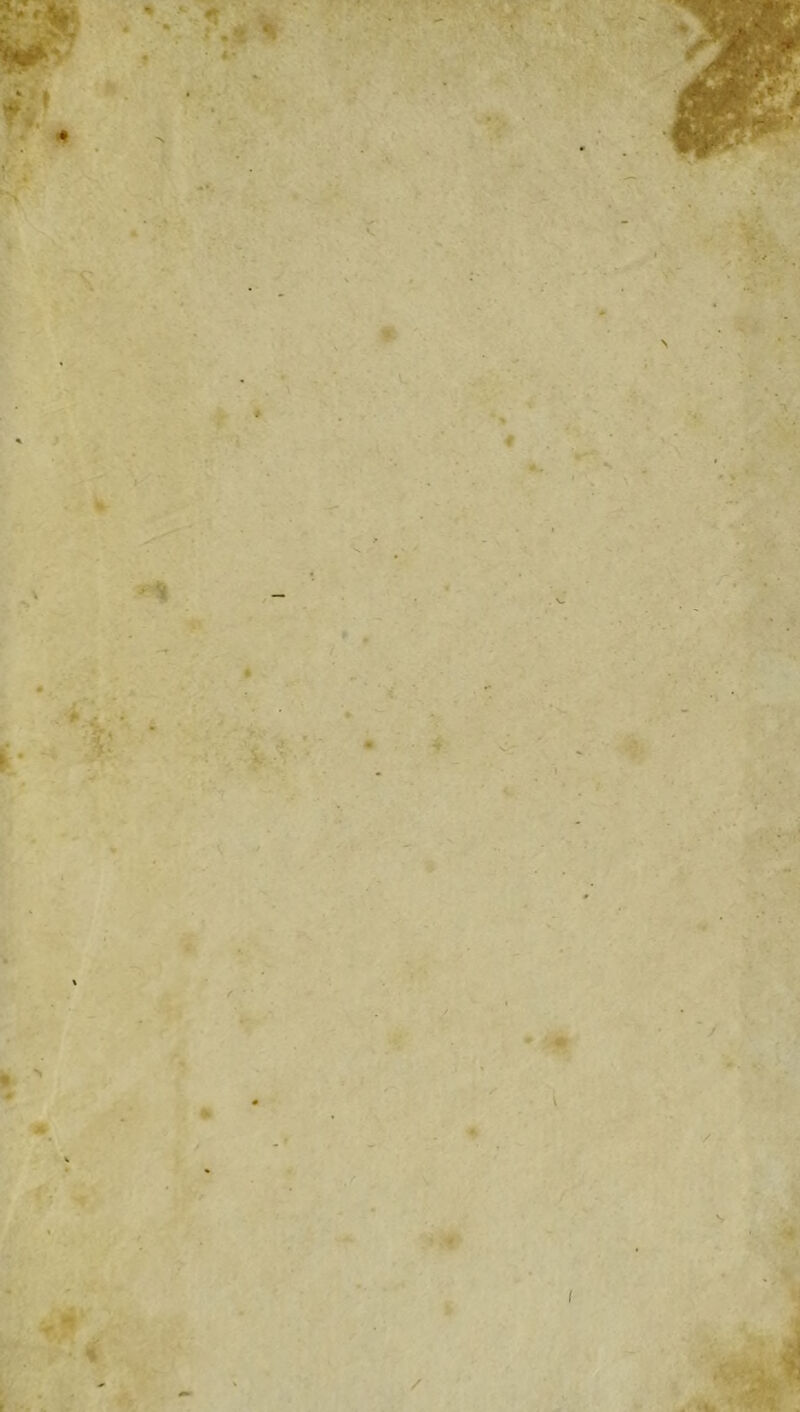 t Si » ) % \ \ 1 ■ % ' ■ •? / V • ,* / / / «V