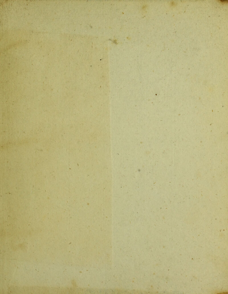 'I ■4 i* / i v t / * v ■ ' ...»