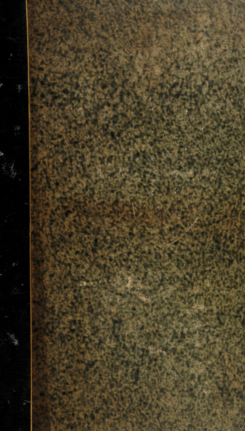 L i- JSfflOCTjfc, 1\, .V&jmm 'SMPrZ r |» 3pfJ&J V |3$ P*v>Si f#i§: - I ' ' ■■ ' ;5# /.• «, -#a. 7? 5; ■■■,. - ' gjjK * -V. P ■ . ■«■ • I £r •;,. «?. • , ? • ;#.