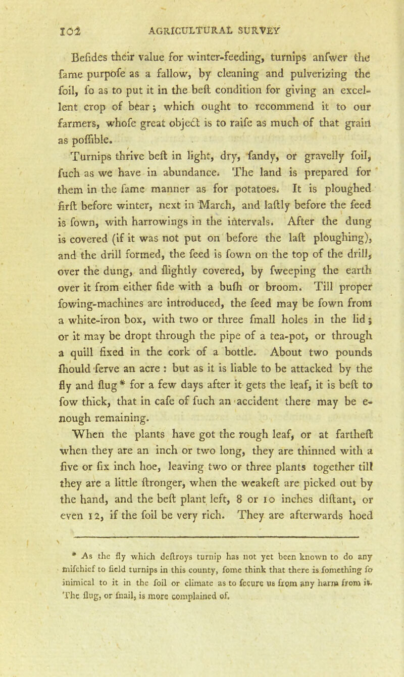 Befides their value for winter-feeding, turnips anfwer the fame purpofe as a fallow, by cleaning and pulverizing the foil, fo as to put it in the belt condition for giving an excel- lent crop of bear; which ought to recommend it to our farmers, whofe great objedl is to raife as much of that grain as poffible. Turnips thrive beft in light, dry, fandy, or gravelly foil, fuch as we have in abundance* * The land is prepared for * them in the fame manner as for potatoes. It is ploughed firft before winter, next in March, and laftly before the feed is fown, with harrowings in the intervals. After the dung is covered (if it was not put on before the laft ploughing), and the drill formed, the feed is fown on the top of the drill, over the dung, and flightly covered, by fweeping the earth over it from either fide with a bufh or broom. Till proper fowing-machlnes are introduced, the feed may be fown from a white-iron box, with two or three fmall holes in the lid; or it may be dropt through the pipe of a tea-pot, or through a quill fixed in the cork of a bottle. About two pounds Ihould ferve an acre : but as it is liable to be attacked by the fly and flug * for a few days after it gets the leaf, it is beft to fow thick, that in cafe of fuch an'accident there may be e- nough remaining. When the plants have got the rough leaf, or at fartheft when they are an inch or two long, they are thinned with a five or fix inch hoe, leaving two or three plants together till they are a little ftronger, when the weakeft are picked out by the hand, and the beft plant left, 8 or i o inches diftant, or even 12, if the foil be very rich. They are afterwards hoed > * As the fly which deflroys turnip has not yet been known to do any mifehief to field turnips in this county, fomc think that there is fomething fo inimical to it in the foil or climate as to fecure us from any harm from it. The flug, or lhail, is more complained of.