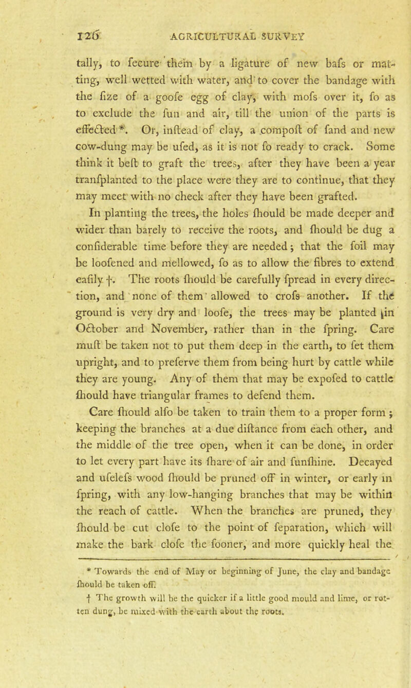 tally, to fecure them by a ligature of new bafs or mat- ting, well wetted with water, and’ to cover the bandage with the lize of a goofe egg of clay, with mofs over it, fo as to exclude the fun and air, till the union of the parts is efFe£led’* *'. Or, inftead of clay, a .comport; of fand and new cow-dung may be ufed, as it is not fo ready to crack. Some think it belt to graft the trees, after they have been a year tranfplanted to the place were they are to continue, that they may meet with no check after they have been grafted. In planting the trees, the holes fhould be made deeper and wider than barely to receive the roots, and fliould be dug a confiderable time before they are needed; that the foil may be loofened and mellowed, fo as to allow the fibres to extend eafily f. The roots Ihould be carefully fpread in every direc- ' tion, and ‘ none of them ’ allowed to crofs another. If thtf ground is very dry and loofe, the trees may be planted ^in Odfober and November, rather than in the fpring. Care muft be taken not to put them deep in the earth, to fet them upright, and to preferve them from being hurt by cattle while they are young. Any of them that may be expofed to cattle fliould have triangular frames to defend them. Care fliould alfo be taken to train them to a proper form ; keeping the branches at a due diftance from each other, and the middle of the tree open, when it can be done, in order to let every part have its fhare’of air and funlhine. Decayed and ufelefs wood fliould be pruned off in winter, or early in fpring, with any low-hanging branches that may be within the reach of cattle. When the branches are pruned, they fliould be cut clofe to the point of feparation, which will make the bark clofe the fooner, and more quickly heal the . / • Towards the end of May or beginning of June, the clay and bandage fhould be taken off. ■f The growth will be the quicker if a little good mould and lime, or rot- ten dung, be mbccd-with the earth about the roots.