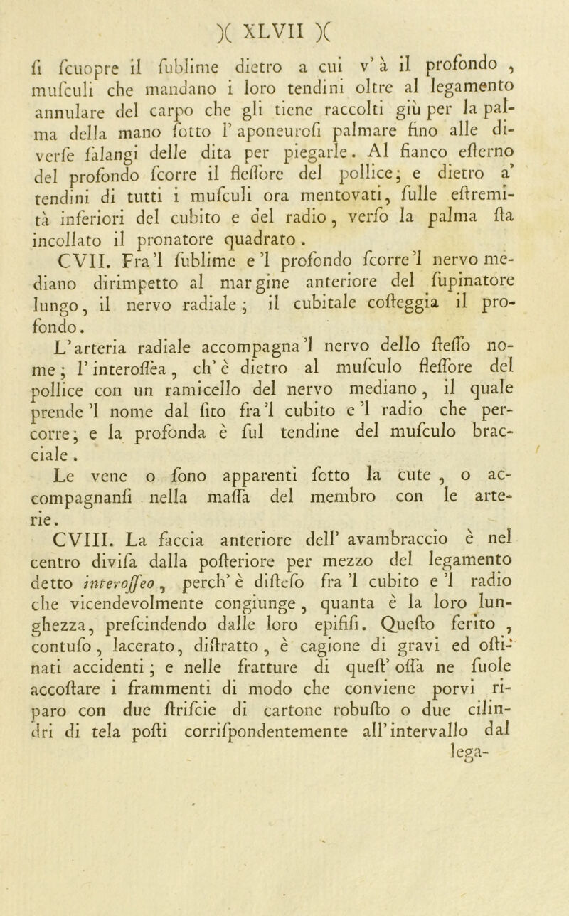 fi fcuopre il fublime dietro a cui v’ à il profondo , mufculi che mandano i loro tendini oltre al legamento annulare del carpo che gli tiene raccolti giu per la pal- ma della mano fotto F aponeurofi palmare fino alle di- verfe falangi delle dita per piegarle. Al fianco efierno del profondo fcorre il flefibre del pollice; e dietro a’ tendini di tutti i mufculi ora mentovati, fulle eftremi- tci inferiori del cubito e del radio , verfo la palma fia incollato il pronatore quadrato . CVII. Fra’l fublime e’l profondo fcorre’l nervo me- diano dirimpetto al margine anteriore del fupinatore lungo, il nervo radiale ; il cubitale cofieggia il pro- fondo . L’arteria radiale accompagna’l nervo dello flefib no- me ; l’interofìèa, eh’ è dietro al mufculo fieffore del pollice con un ramicello del nervo mediano, il quale prende ’l nome dal fito fra ’l cubito e ’l radio che per- corre; e la profonda è fui tendine del mufculo brac- ciale . Le vene o fono apparenti fotto la cute , o ac- compagnanfi . nella mafia del membro con le arte- rie. CVIII. La faccia anteriore dell’ avambraccio è nel centro divifa dalla pofieriore per mezzo del legamento detto interojfeo ^ perch’è difiefb fra’l cubito e’l radio che vicendevolmente congiunge, quanta è la loro lun- ghezza, prefeindendo dalle loro epififi. Quello ferito , contufo, lacerato, difiratto, è cagione di gravi ed ofii- nati accidenti ; e nelle fratture di queft’ offa ne fuole accofiare i frammenti di modo che conviene porvi ri- paro con due flrifcie di cartone robufto o due cilin- dri di tela polli corrifpondentemente all’intervallo dal