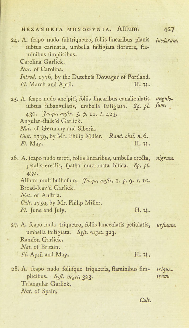 24. A. fcapo nudo fubtriquetro, foliis linearibus planis fubtus carinatis, umbella faftigiata florifera, fta- minibus fimplicibus. Carolina Garlick. Nat. of Carolina. Introd. 1776, by the Dutchefs Dowager of Portland. FI. March and April. H. Tf. 25. A. fcapo nudo ancipiti, foliis linearibus canaliculatis fubtus fubangulatis, umbella faftigiata. Sp. pi, 430. Jacqu. aujlr. p. ii. t. 423. Angular-ftalk’d Garlick. Nat. of Germany and Siberia. Cult. 1730, by Mr. Philip Miller. Rand. chel. n. 6. FI. May. H. %. 26. A. fcapo nudo tereti, foliis linearibus, umbella ere£la, petalis eredfis, fpatha mucronata bifida. Sp. pi. 430. Allium multibulbofum. ^acqu. aujir, i. p. 9. t, 10. Broad-leav’d Garlick. Nat. of Auftria. Cult. 1759, by Mr. Philip Miller. FI. June and July. H. %, 27. A. fcapo nudo triquetro, foliis lanceolatis petiolatis, umbella faftigiata. Syji, veget, 323. Ramfon Garlick. Nat. of Britain. FI, April and May. . H. If. 28. A. fcapo nudo foliifque triquetris, ftaminibus fim- plicibus. SyJi, vegeU 323. Triangular Garlick. Nat, of Spain. Cult. inodorum. angular fum. _ nigrum. urjinum. trique.. trum.