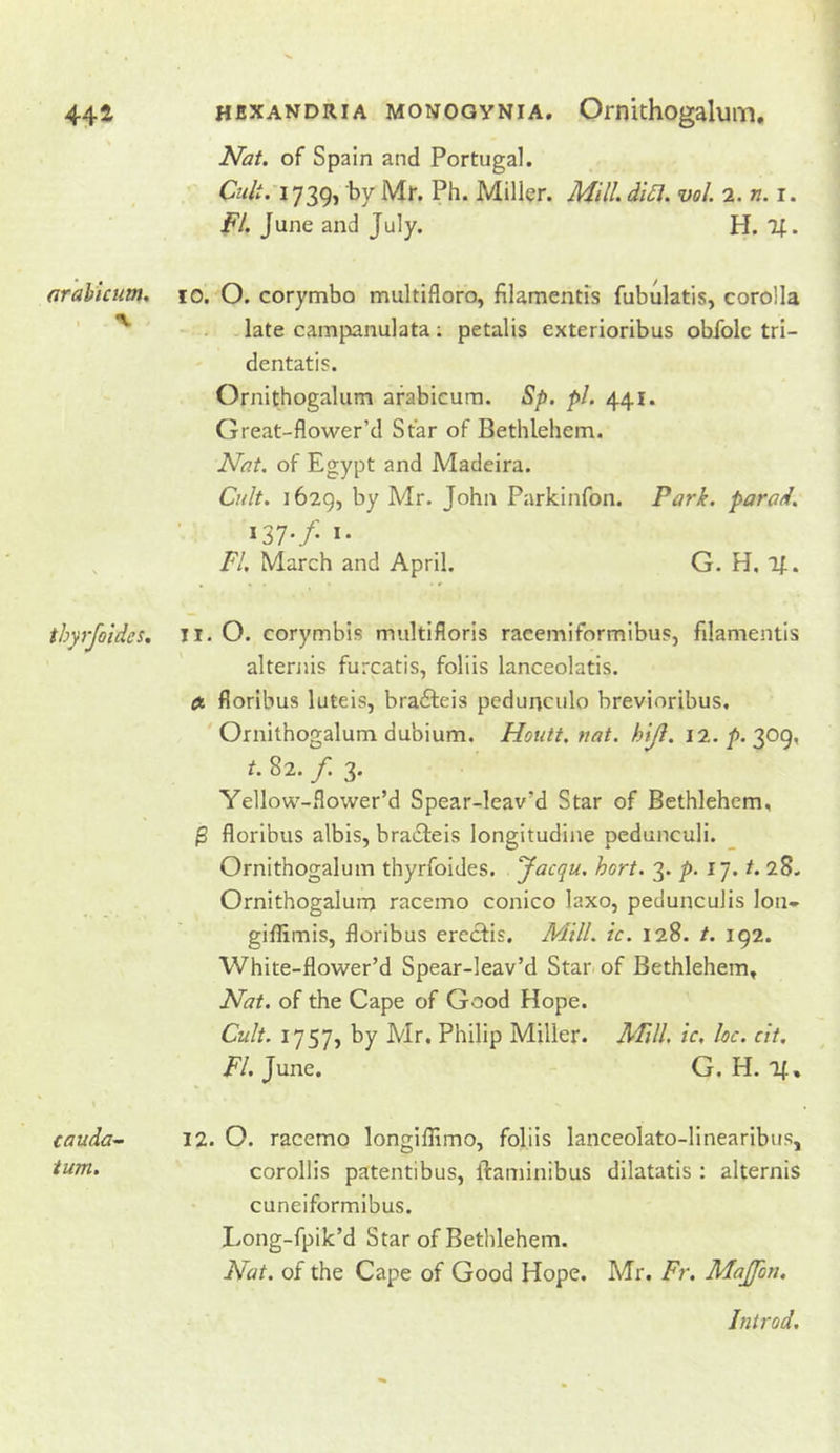 orahicum. thyrjoides. cauda^ turn. Nat. of Spain and Portugal. Ca/t. 1739, by Mr. Ph. Miller. Afi//. di5l. vol. i.n.i. FL June and July. H. 10. O. corymbo multifloro, filamentis fubulatis, corolla late campanulata; petalis exterioribus obfolc tri- dentatis. Ornithogalum arabicura. Sp. pi. 441. Great-flower’d Star of Bethlehem. Nat. of Egypt and Madeira. Cult. 1629, by Mr. John Parkinfon. Park, parad. i37-f I* FI. March and April. G. H, 1^. 11. O. corymbis multifloris racemiformibus, filamentis alternis furcatis, foliis lanceolatis. a. floribus luteis, bradleis pcdunculo brevioribus. Ornithogalum dubium. Hoiitt. nat. hijl. ii.p.^og, t. 82. f. 3. Yellow-flower’d Spear-leav’d Star of Bethlehem, $ floribus albis, bra61:eis longitudine pedunculi. Ornithogalum thyrfoides. Jacqu. hort. 3. p. 17. t. 28. Ornithogalum racemo conico laxo, pedunculis lon- giflimis, floribus ereclis. Mill. ic. 128. /. 192. White-flower’d Spear-leav’d Star of Bethlehem, Nat. of the Cape of Good Hope. Cult. 1757, by Mr. Philip Miller. Mill, ic, loc. cit. i^/. June. G. H. If, 12. O. racemo longiflimo, foliis lanceolato-linearibus, corollis patentibus, ftaminibus dilatatis : alternis cuneiformibus. Long-fpik’d Star of Bethlehem. Nat. of the Cape of Good Hope. Mr. Fr. Majfori, Introd,