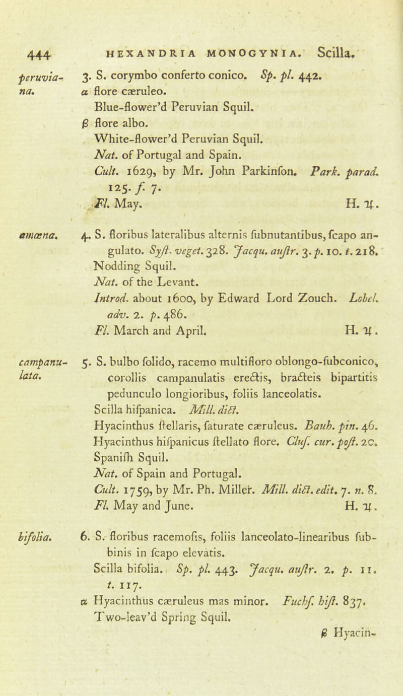 feruvta^ na. amoena. campanu- lata. HEXANDRIA MONOGYNIA. Scilla. 3. S. corymbo conferto conico. Sp. pi. 442. a flore caeruleo. Blue-flower’d Peruvian Squil. (S flore albo. White-flower’d Peruvian Squil. Nat. of Portugal and Spain. Cult. 1629, by Mr. John Parkinfon. Parj^. parad. 125./ 7* , May. H. If. 4. S. floribus lateralibus alternis fubnutantibus, fcapo an- gulato. Syji. veget. 328. Jacqu. aujlr. J.p. 10. i. 218. Nodding Squil. Nat. of the Levant. Jntrod. about 1600, by Edward Lord Zouch. Lohel. adv. 2. p. 486. FL March and April, H. if. 5- S. bulbo folldo, racemo multifloro oblongo-fubconico, corollis campanulatis erecSlis, brafteis bipartitis pedunculo longioribus, foliis lanceolatis. Scilla hifpanica. Mill. diSi. Hyacinthus flellaris, faturate cseruleus. Bauh. pin. 46. Hyacinthus hifpanicus ftellato flore. Cluf. cur. poJi.iQ. Spanifh Squil. Nat. of Spain and Portugal. Cult. 1759, by Mr. Ph. Miller. Mill. di6i. edit. 7. n. 8. FI. May and June. H. 'll. 6. S. floribus racemofis, foliis lanceolato-linearlbus fub- binis in fcapo elevatis. Scilla bifolia.I 5/). ^/. 443. Jacqu. aujlr. 2, p. ii. 117. a Hyacinthus caeruleus mas minor. Fuchf. hiji. 837, Two-leav’d Spring Squil. /S Hyacin-