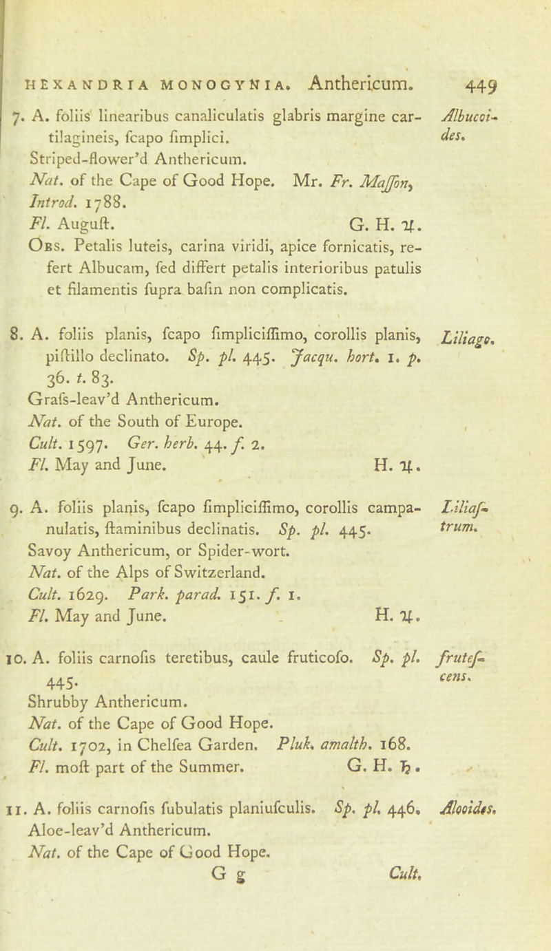 7. A. foliis linearlbus canaliculatis glabris margine car- tilagineisj fcapo fimplici. Striped-flower’d Anthericum. Nat. of the Cape of Good Hope. Mr. Fr. Majfon^ Introd. 1788. FI. Auguft. G. H. If. Obs. Petalis luteis, carIna viridi, apice fornicatis, re- fert Albucam, fed difFert petalis interioribus patulis et filamentis fupra bafin non complicatis. « 8. A. foliis planis, fcapo fimpliciflimo, corollis planis, piftillo declinato. pi. 445. yacqu. hort, i. p, 36. ^3* Grafs-leav’d Anthericum. Nat. of the South of Europe. Cult. 1597. Ger. herb. 44./. 2. i7. May and June. ' H. If. 9. A. foliis plapis, fcapo fimpliciflimo, corollis campa- nulatis, ftaminibus declinatis. Sp. pi. 445. Savoy Anthericum, or Spider-wort. Nat. of the Alps of Switzerland. Cult. ito-C). Park, par ad. iSi.y. i. FI. May and June. . H. Tf. 10. A. foliis carnofis teretibus, caule fruticofo. Sp, pi, 445- Shrubby Anthericum. Nat. of the Cape of Good Hope. Cult. 1702, in Chelfea Garden. Pluk, amalth. 168. FI. moft part of the Summer. G. H. Tb • 11. A. foliis carnofis fubulatis planiufculis. Sp. pl, 446, Aloe-leav’d Anthericum. Nat. of the Cape of Good Hope. G g Cult, 449 AlbuCQt- des. Liliago, Z-iliafm trum. frutey. cens. AloQtdts,