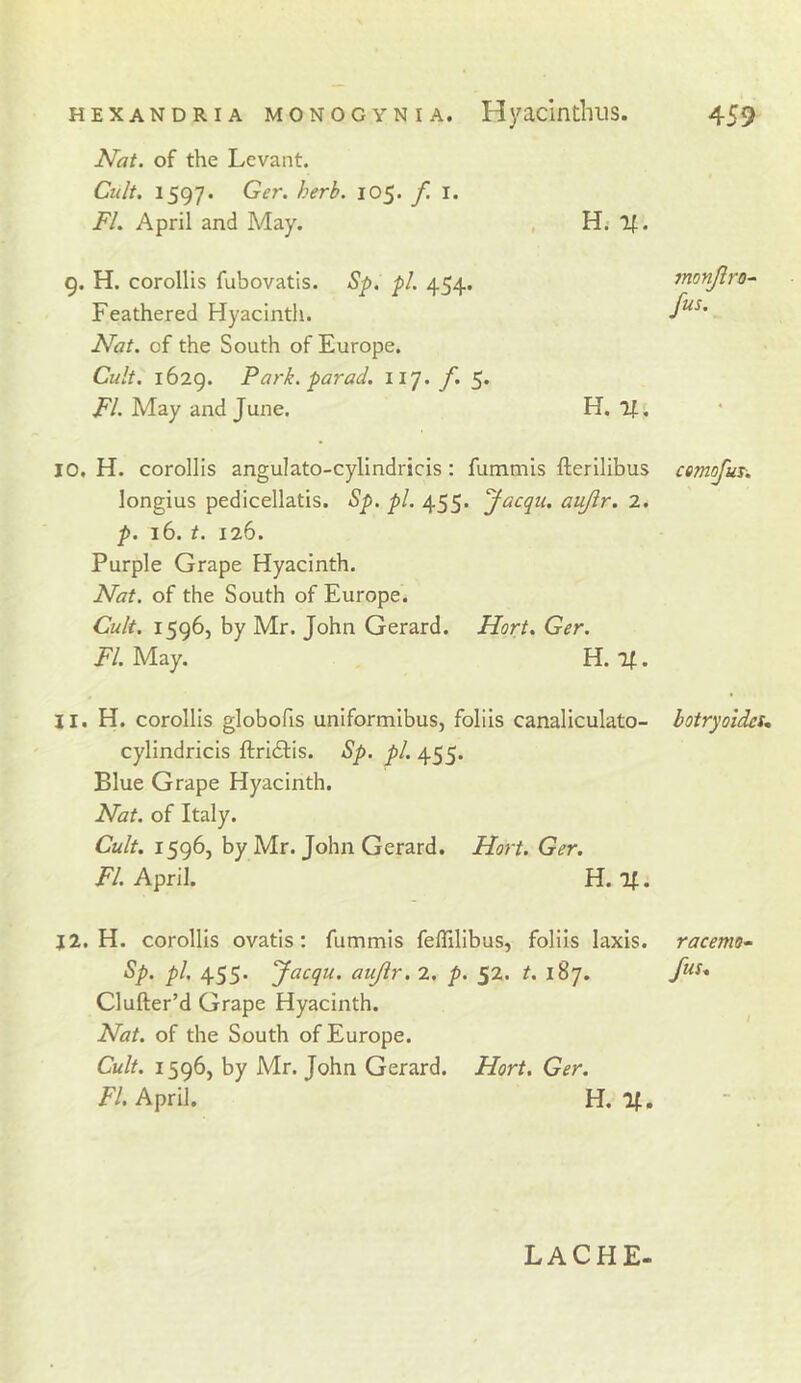 Nat. of the Levant. Cult. 1597. Ger. herb. 105. f. l. FI. April and May. , H.- If. 9. H. corollis fubovatis. Sp. pi. 454. Feathered Hyacinth. Nat. of the South of Europe. Cult. 1629. Park, par ad. ii']. f. 5. FI. May and June. H. 71. 10, H. corollis angulato-cylindricis; fummis fterilibus longius pedicellatis. Sp. pi. 455. yacqu. aujir. 2. p. 16. t. 126. Purple Grape Hyacinth. Nat. of the South of Europe. Cult. 1596, by Mr. John Gerard. Flort. Ger. FI. May. H. If. 11. H. corollis globofis uniformibus, folds canaliculato- cylindricis ftrieSfis. Sp. pi. 455. Blue Grape Hyacinth. Nat. of Italy. Cult. 1596, by Mr. John Gerard. Hort. Ger. FI. April. H. If. j2. H. corollis ovatis: fummis feflilibus, folds laxis. Sp. pi. 455. yacqu. aujir. 2. p. 52. t. 187. Clufter’d Grape Hyacinth. Nat. of the South of Europe. Cult. 1596, by Mr. John Gerard. Hort. Ger. Fl. April. H. If. jnonjlro^ fus. botryoldct. racemo- fus* LACHE-