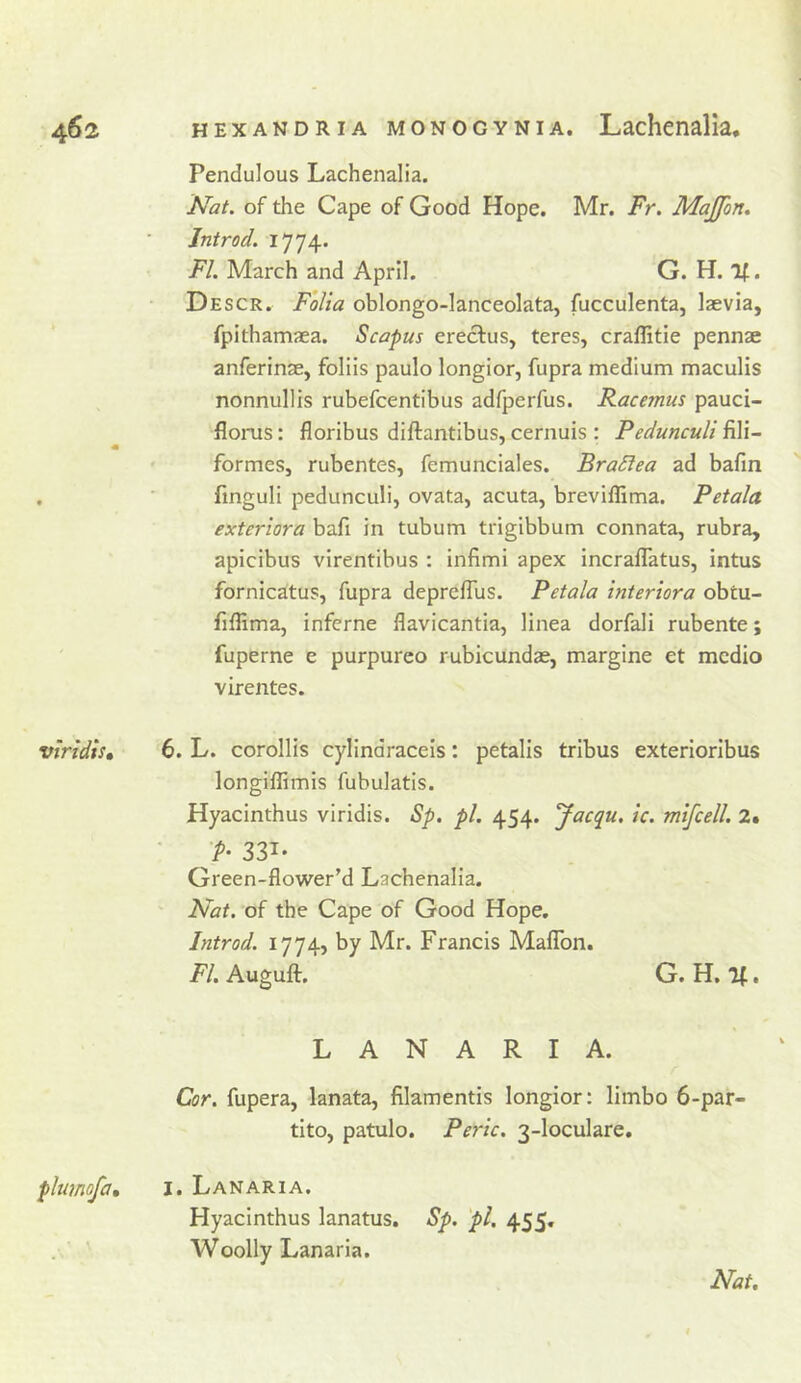 • Pendulous Lachenalia. Nat. of the Cape of Good Hope. Mr. Fr. Majfon. Introd. 1774. FI. March and April. G. H. If. Descr. Folia oblongo-lanceolata, fucculenta, laevia, fpithamaea. Scapus ereclus, teres, craflitie pennae anferinae, foliis paulo longior, fupra medium maculis nonnullis rubefcentibus adfperfus. Racemus pauci- florus: floribus diftantibus, cernuis : Pedunculi fili- formes, rubentes, femunciales. BraSfea ad bafin fmguli pedunculi, ovata, acuta, breviflima. Petala exteriora bafi in tubum trigibbum connata, rubra, apicibus virentibus : infimi apex incraflatus, intus fornicatus, fupra depreflus. Petala interiora obtu- fiffima, inferne flavicantia, llnea dorfali rubente; fuperne e purpurco rubicundae, margine et medio virentes. viridis. 6. L. corollis cylindraceis: petalis tribus exterlorlbus longiflimis fubulatis. Hyacinthus viridis. 8p. pi. 454. Jacqu, Ic. mifcell. 2. • 'P- 33T. Green-flower’d Lachenalia. ' Nat. of the Cape of Good Hope. Introd. 1774, by Mr. Francis Maflbn. FI. Auguft. G. H. If. plumofa. L A N A R I A. Cor. fupera, lanata, filamentis longior; limbo 6-par- tlto, patulo. Perk. 3-loculare, I. Lanaria. Hyacinthus lanatus. Sp. 'pi. 455, . ' \ Woolly Lanaria. Nat,