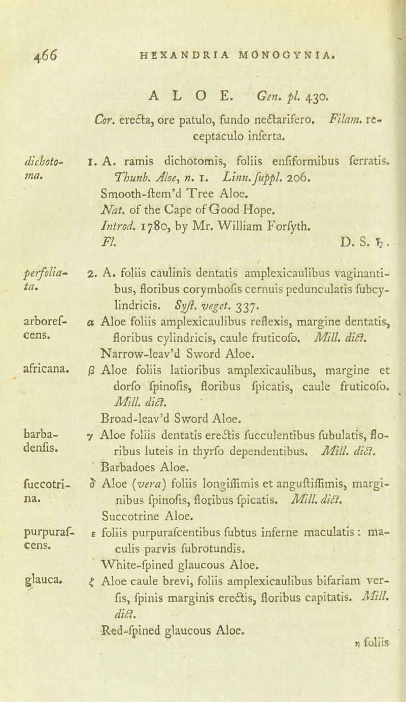 dtchoto- tna. perfolia^ ta. arboref- cens. africana. barba- denlis. fuccotrl- na. purpuraf- cens. glauca. ALOE. Gen. pi. 430. Cor. erefta, ore patulo, fundo ne£tarifero. Filam. re- ceptaculo inferta. 1. A. ramis dichotomis, foliis enfiformibus ferratis, Fhunb. Aloe., n. i. Linn.fuppl. 206. Smooth-ftem’d Tree Aloe. Nat. of the Cape of Good Hope. Introd, 1780, by Mr. William Forfyth. FI. D. S. ^ . 2. A. foliis caulinis dentatis amplexicaulibus vaginanti- bus, floribus corymbofis cernuis pedunculatis fubey- lindricis. Syji. veget. 337. a Aloe foliis amplexicaulibus reflexis, margine dentatis, floribus cylindricis, caule fruticofo. Mill. diSf. Narrow-leav’d Sword Aloe. /3 Aloe foliis latioribus amplexicaulibus, margine et dorfo fpinofis, floribus fpicatis, caule fruticofo. Mill. diSl. Broad-leav’d Sword Aloe. 7 Aloe foliis dentatis ere&gt;5lis fucculentibus fubulatis, flo- ribus luteis in thyrfo dependentibus. Mill. diSi. Barbadoes Aloe. ^ Aloe {vera) foliis longiflimis et angufl:iflimis, margi- nibus fpinofis, floribus fpicatis. Mill. diSi. Succotrine Aloe. £ foliis purpurafeentibus fubtus inferne maculatis : ma- culis parvis fubrotundis. White-fpined glaucous Aloe. ^ Aloe caule brevi, foliis amplexicaulibus bifariam ver- fis, fpinis marginis eredlis, floribus capitatis. Mill. di£l. Red-fpined glaucous Aloe. »! foliis
