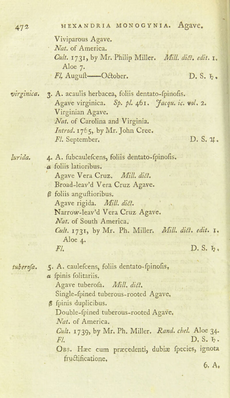 Viviparous Agave, Nat. of America. Cult. 1731, by Mr. Philip Miller. Mill. di£i. edit, i. Aloe 7. FI. Auguft October. D. S. Tj, virginica, 3. A. acaulis herbacea, foliis dentato-fpinofis. Agave virginica. Sp. pi. 461. Jacqu. ic. vol, 2. Virginian Agave. Nat. of Carolina and Virginia. Introd. 1765, by Mr. John Cree. FI. September. D. S. If. lurida. 4. A. fubcaulefcens, foliis dentato-fpinofis. a foliis latioribus. Agave Vera Cruz. Mill. didf. Broad-leav’d Vera Cruz Agave. ^ foliis anguftioribus. Agave rigida. Mill. didi. Narrow-leav’d Vera Cruz Agave. Nat. of South America. Cult. 1731, by Mr. Ph. Miller. Mill. didi. edit. i. Aloe 4. FI. D. S. Tj, \ tuherofa. 5. A. caulefcens, foliis dentato-fpinofis, « fpinis folitariis. Agave tuberofa. Mill. didl. Single-fpined tuberous-rooted Agave, (8 fpinis duplicibus. Double-fpined tuberous-rooted Agave, Nat, of America. Cult. 1739, by Mr, Ph. Miller. Rand. chel. Aloe 34. FI. D, S. T?. Obs. Haec cum praccedenti, dubite fpecies, ignota frudlificatione.