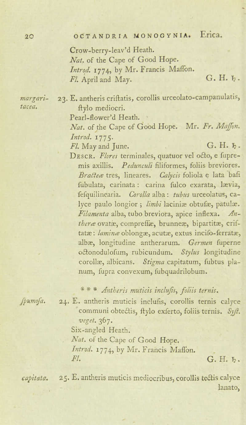 margari- tacea. fpumofa. capltata. Crow-berry-Ieav’d Heath. Nat. of the Cape of Good Hope. Introd. 1774, by Mr. Francis MafTon. FI. April and May. G. H. Tb • 23. E. antheris criftatis, corollis urceolato-campanulatis, ftylo mediocri. Pearl-flower’d Heath. ' Nat. of the Cape of Good Hope. Mr. Fr. MaJpjn. Introd. 1775. FI. May and June. G. H. h • Descr. Flores terminales, quatuor vel odfo, e fupre- mis axillis. Pedunculi filiformes, foliis breviores. Bradtece tres, lineares. Calycis foliola e lata bafi fubulata, carinata : carina fulco exarata, laevia, fefquilinearia. Corolla alba : tubus urceolatus, ca- lyce paulo longior ; limbi laciniae obtufae, patulae. Filamenta alba, tubo breviota, apice inflexa. An- theree ovati, compreflse, brunneae, bipartitae, crif- tatae; lamina oblongae, acutae, extus incifo-ferratae, albas, longitudine antherarum. Germen fuperne oiSonodulofum, rubicundum. Stylus longitudine corollas, albicans. Stigma capitatum, fubtus pla- num, fupra convexum, fubquadrilobum. * * * Antheris muticis inclujis^ foliis ternis. 24. E. antheris muticis inclufis, corollis ternis calyce communi obtedtis, ftylo exferto, foliis ternis. Syjl. veget. 367. Six-angled Heath. Nat. of the Cape of Good Hope. Introd. 1774, by Mr. Francis Maflbn. FI. G. H. T?. 25. E. antheris muticis mediocribus, corollis tetftis calycc laaato,