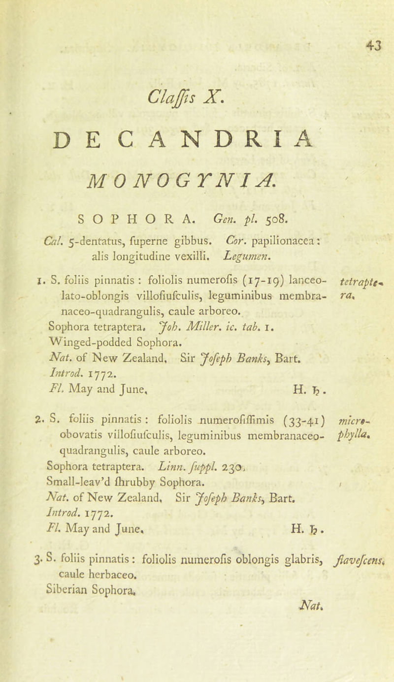 Clafts X. DE CANDRIA MONOGYNIA. S O P H O R A. Gen. pi. 508. Ca!. 5-dentatus, fuperne gibbus. Cor. papilionacea: alis longitudine vexilli. LegU7nen. 1. S. foliis pinnatis : foliolis numerofis (17-19) lanceo- tetrapU-* lato-oblongis villofiufculis, leguminibus membra- ra^ naceo-quadrangulis, caule arboreo. Sophora tetraptera, “Joh. Miller, ic. tab. i. Winged-podded Sophora. Nat. of New Zealand, Sir Jofeph Banks^ Bart. Introd. 1772. FL May and June, H. ^ . 2. S. foliis pinnatis: foliolis numerofifllmls (33-41) micr$~ obovatis villofiufculis, leguminibus membranaceo- phyllo* quadrangulis, caule arboreo. Sophora tetraptera. Linn, fuppl. 230^ Small-Ieav’d fhrubby Sophora. / Nat. of New Zealand, Sir Jofeph Banks^ Bart. Jntrod. 1772. FI. May and June, H. . 3. S. foliis pinnatis: foliolis numerofis oblongis glabris, Jiavefcens^ caule herbaceo. Siberian Sophora, Nat.