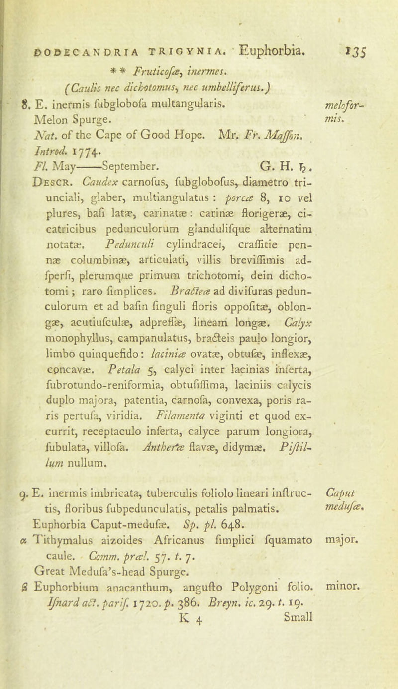f DOD£CANDRiA TRioYNiA. ' Euphorbia, 135 * * Fruticofaj inertnes. (Caulis nec dick-otomus^ nec umhelliferui.) 8. E. inermis fubglobofa multangularls. melofor- Melon Spurge. ‘ mis. Nat. of the Cape of Good Hope. Mr. Fr. Alaffon. lntro&lt;l. 1774. FI. May September. G. H. T?. Descr. Caudex carnofus, fubglobofus, diametro tri- unciali, glaber, multlangulatus : porca 8, 10 vel plures, baft latae, carinatae : carinae florigerae, ci- catricibus pedunculorum glandulifque alternatim notatae, Pedunctdi cylindracei, craflitie pen- nae columbinae, articulati, villis breviflimis ad- fperft, plerumque primum trichotomi, dein dicho- tomi; raro ftmplices. Bra£iea ad divifuras pedun- culorum et ad baftn ftnguli floris oppofttae, oblon- gae, acutiufculae, adpreffae, lineam longae. Calyx monophyllus, campanulatus, braiteis paulo longior, limbo quinquefido : lacinia ovatae, obtufae, inflexae, cpncavae. Petala 5, calyci inter lacinias inferta, fubrotundo-reniformia, obtuftifima, laciniis calycis duplo majora, patentia, carnofa, convexa, poris ra- ris pertufa, viridia. Fila?nenta viginti et quod ex- currit, receptaculo inferta, calyce parum longiora, fubulata, villofa. Anther*a flavae, didymae. Pijiil- lum nullum. 9. E. inermis imbricata, tuberculis foliolo lineari inftruc- Caput tis, floribus fubpedunculatis, petalis palmatis. medufcE. Euphorbia Caput-medufae. Sp. pi. 648. « Tithymalus aizoides Africanus ftmplici fquamato major, caule. Cornm. pro:!. 57. t. 7. Great Medufa’s-head Spurge. 0 Euphorbium anacanthum, angufto Polygoni folio, minor. Ifnard a£t. parif. 1720. p. 386; Ereyn. ic, 29. t. 19* K 4 Small