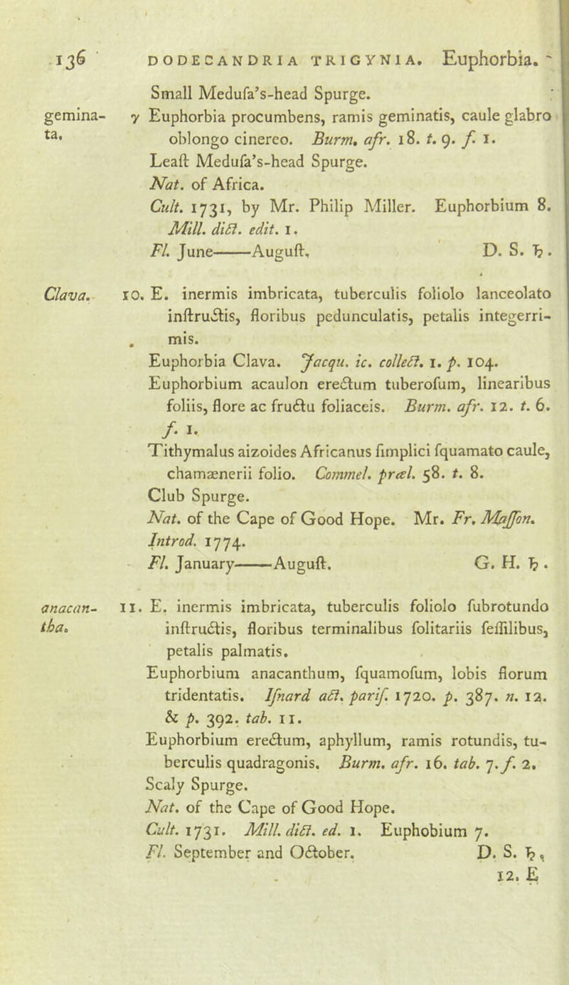 gemma- ta, 136' dodecandria TRiGYNiA. Euphorbla. ' Small Medufa’s-head Spurge. y Euphorbia procumbens, ramis geminatis, caule glabro oblongo cinereo. Burm, afr. 18. 9. f&gt; i. Lead: Medufa’s-head Spurge. Nat. of Africa. Cult. 1731, by Mr. Philip Miller. Euphorbium 8. di5l. edit, i. FI. June Auguft, D. S. 1? . Clava. anacan- tha. ro. E. inermis imbricata, tuberculis foliolo lanceolato inftruifis, floribus pedunculatis, petalis integerri- , mis. Euphorbia Clava. Jacqu. ic. coUeSl. i. p. 104. Euphorbium acaulon eredlum tuberofum, Hnearibus foliis, flore ac fru6lu foliaceis. Burm. afr. 12. r. 6. /• I' Tithymalus aizoides Africanus fimplici fquamato caule, chamaenerii folio. Commel. fral. 58. t. 8. Club Spurge. Nat. of the Cape of Good Hope. Mr. Fr, Mfljfon. Jntrod. 1774. - FI. January Auguft. G. H. ^ . II. E. inermis imbricata, tuberculis foliolo fubrotundo inftrudlis, floribus terminalibus folitariis feflilibus, petalis palmatis, Euphorbium anacanthum, fquamofum, lobis florum tridentatis. Ifnard adi. parif. 1720. p. 387. n. 12. &amp; p. 392. tab. II. Euphorbium eredfum, aphyllum, ramis rotundis, tu- berculis quadragonis. Burm. afr. 16. tab. q.f. 2. Scaly Spurge. Nat. of the Cape of Good Hope. Cult. 173^’ Mill.diEi. ed. 1. Euphobium 7. FI. September and Odlober. D. S. ^, 12. E