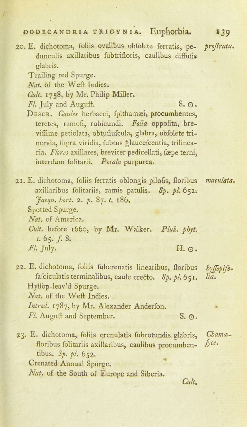 20. E. dlchotoma, folils ovalibus obfolete ferratls, pe- dunculis axillaribus fubtrifloris, caulibus diffufis glabris. Trailing red Spurge. A^at. of the Weft Indies. Cult. 1758, by Mr. Philip Miller. FL July and Auguft. S. G. Descr. Caules herbacei, fpithamaei, procumbentes, teretes, ramofi, rubicund!. Folia oppofita, bre- viflime petiolata, obtuftufcula, glabra, obfolete tri- nervia, fupra viridia, fubtus glaucefcentia, trilinea- ria. Flores axillares, breviter pedicellati, faspe terni, interdum folitarii. Petala purpurea. 21. E. dichotoma, foliis ferratis oblongis pilofts, floribus axillaribus folitariis, ramis patulis. Sp. pi. 652-. yacqu. hort. 2. p. 87. /. 186. Spotted Spurge. Nat. of America. Cult, before 1660, by Mf, Walker. Pluk. phyt, t. 65. f. 8. i7. July. H. 0. 22. E. dichotoma, foliis fubcrenatis linearibus, floribus fafciculatis terminalibus, caule erecfto. Sp. pi. 65 r. HylTop-leav’d Spurge. Nat. of the Weft Indies. Introd. 1787, by Mr. Alexander Anderfon. FI. Auguft and September. S. Q. 23* E. dichotoma, foliis crenulatis fubrotundis glabris, floribus folitariis axillaribus, caulibus procumben- tibus. Sp. pi. 652. Crenated Annual Spurge. Nat. of the South of Europe and Siberia. Cult, projirata, maculata. hyjfopifs- lia. Chamcc- fyce.