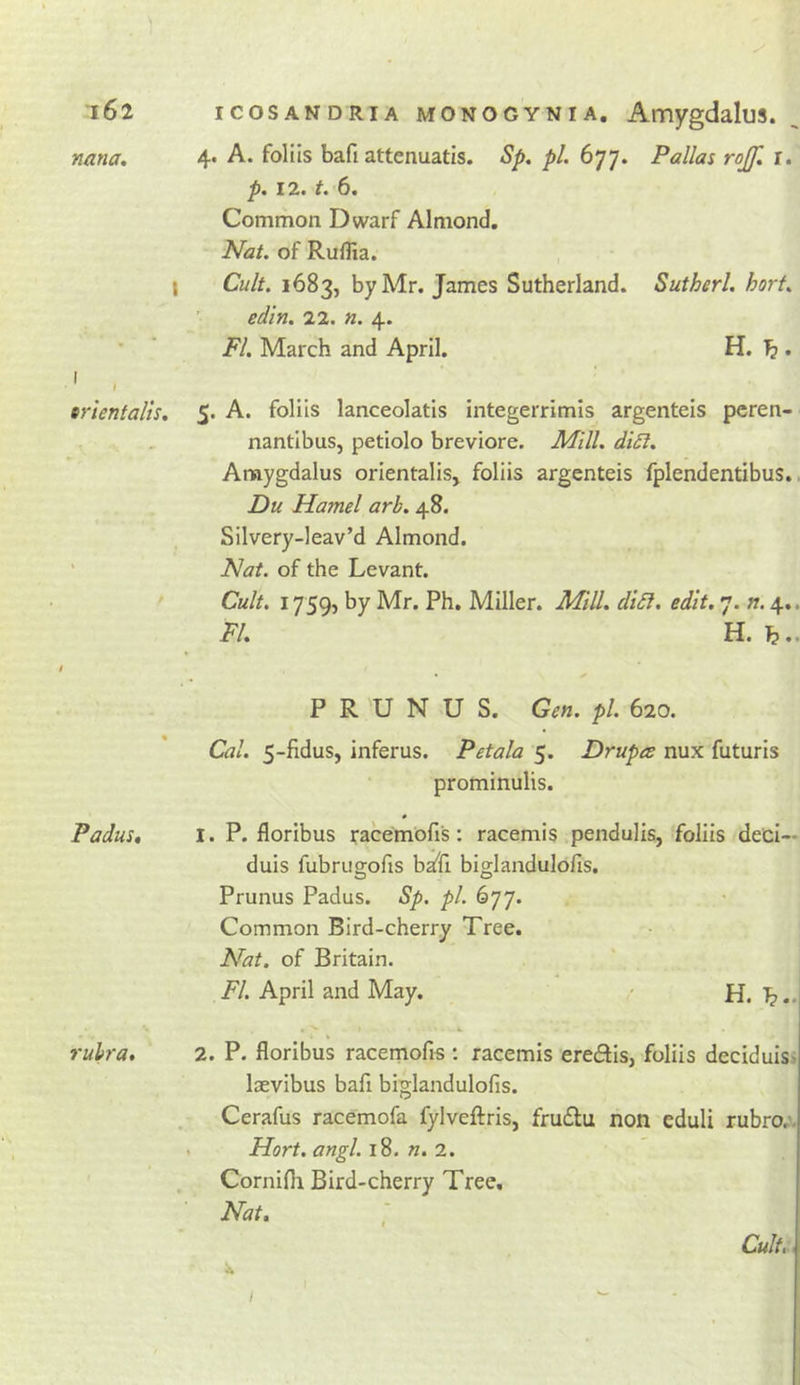 iSi nana. I trientalis. Padus* ruWa, icoSANDRiA MONOGYNiA, Amygdalus. 4. A. foliis bafi attenuatis. Sp, pi. 677. Pallas rojf. r. p. 1i. 6« Common Dwarf Almond. Nat. of Ruflia. Cult. 1683, by Mr. James Sutherland. Sutherl. hort. ’ edin. 22. n. 4. FI. March and April. H. T3. 5. A. foliis lanceolatis integerrimis argenteis pcren- nantlbus, petiolo breviore. Jldill. di£l. Amygdalus orientalis, foliis argenteis fplendentibus.. Du Hamel arb. 48. Silvery-leav’d Almond. Nat. of the Levant. Cult. 1759, by Mr. Ph. Miller. Mill. diSl. edit. 7. ti. 4.. FI. H. b.. P R 'U N U S. Gen. pl. 620. Cal. 5-fidus, inferus. Petala 5. Drupes nux futuris prominulis. I. P. floribus racemofis: racemis pendulis, foliis deci— duis fubrugofis bajfi biglandulofis, Prunus Padus. Sp. pl. 677. Common Bird-cherry Tree. Nat. of Britain. FI. April and May. / H. 2. P. floribus racemofis : racemis eredis, foliis deciduisi laevibus bafi biglandulofis. Cerafus racemofa fylveftris, fru£lu non eduli rubro,'. Hort. angl. 18. k. 2. Cornifii Bird-cherry Tree, Nat. Cult,