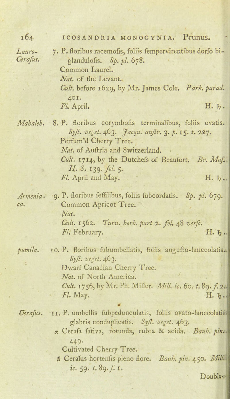 Lauro- 7. P. floribus racemofis, follis fempervirentibus dorfo bi- Cerafus. glandulofis. Sp. pi. 678. ' Common Laurel. Nat. of the Levant. C«/a before 1629, by Mr. James Cole. Park, par ad. 401. FL April. H. ^ . Mahaleb. 8. P. floribus corymbofis terminalibus, foliis ovatis. Syji. veget. 463. Jacqu. aujlr. 3. 15. t. 227. Perfum’d Cherry Tree. Nat. of Auftria and Switzerland. &lt; Cult. 1714, by the Dutchefs of Beaufort. Br. Muf,, H. S. 139, fol. 5. FI. April and May. ' H. Tp.. Armenia- 9. P. floribus feflilibus, foliis fubcordatis. Sp. pi. 679. ca. Common Apricot Tree. Nat. Cult. 1562. Turn. herb, part 2. fol. 48 verjb. T/. February. H. ^ pumila. 10. P. floribus fubumbellatis, foliis angufto-lanceolatis,. SyJi. veget. 463. Dwarf Canadian Cherry Tree, Nat. of North America. ^ Cult. 1756, by Mr. Ph. Miller. Mill. ic. 60. t. 89. f. 21. T/. May. H. Tp.- m 11. P. umbellis fubpedunculati?, foliis ovato-lanceolatisi glabris conduplicatis. Syjl. veget. 463. j a, Cerafa fativa, rotunda, rubra 5c acida. Bauh. pin. \ 449- ^ I Cultivated Cherry Tree. 1 iS Cerafus hortenfis pleno flore. Bauh. pin, 450. lidtll 1 ic, ^9* ^9* J'* Double-.^