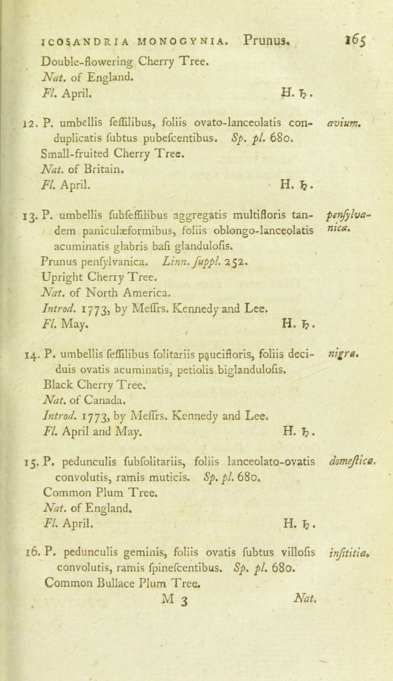 Double-flowering Cherry Tree. Nat. of England. FL April. H. Tj . J2. P. umbellis feflllibus, foliis ovato-lanceolatis con- avium. * duplicatis fubtus pubefcentibus. -pi, 68o. Small-fruited Cherry Tree. Nat. of Britain. FI. April. • H. ^. 13. P. umbellis fubfeflilibus aggregatis multifloris tan- penfylva- dem paniculaeformibus, foliis oblongo-lanceolatis acuminatis glabris bafi glandulofis. Prunus penfylvanica. Linn, fuppl. 252. Upright Cherry Tree. Nat. of North America. Introd. 1772, by MeflTrs. Kennedy and Lee. /'/.May. ^ H. 14. P. umbellis feflllibus folitariis p^ucifloris, foliis deci- nigra, duis ovatis acuminatis, petiolis biglandulofis. Black Cherry Tree. Nat. of Canada. Introd. 1773, by Meflrs. Kennedy and Lee. FI. April and May. H. . 15. P. pedunculis fubfolitariis, foliis lanceolato-ovatis domejiica, convolutis, ramis muticis. Sp. pi. 680. Common Plum Tree. Nat. of England. FL April. H. ^ . 16. P. pedunculis geminis, foliis ovatis fubtus villofis infititla» convolutis, ramis fpinefeentibus. Sp, pi, 680. Common Bullace Plum Tree.