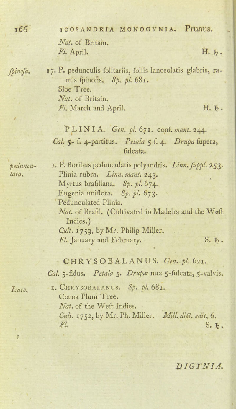 fpinofa. / pecluncu~ lata. Jcaco. 4 Nat. of Britain. FI. April. H. 1? . 17. P. pedunculis folitariis, foliis lanceolatis glabris, ra- mis fpinofis. Sp. pi. 681. Sloe Tree. Nat. of Britain. FI. March and April. H. . PL I N I A. Gen. pi. 671. conf. mant. 244. Cal. 5- f. 4-partitus. Petala 5 f. 4. Drupa fupera, fulcata. I. P. floribus pedunculatis polyandris. Linn, fuppl. 253. Plinia rubra. Linn. mant. 243. Myrtus brafiliana. Sp. pi. 674. Eugenia uniflora. Sp. pi, 673. Pedunculated Plinia. Nat. of Brafil. (Cultivated in Madeira and the Weft Indies.) Cult. 1759, by Mr. Philip Miller. FI. January and February. S. ^ . CHRYSOBALANUS. Gen. pi. 621. Cal. 5-fidus. Petala 5. Drupes nux 5-fulcataj 5-valvi.s. I. Chrysobalanus. Sp. pi, 6SI, Cocoa Plum I'ree. Nat. of the Weft Indies. Cult. 1752, by Mr. Ph. Miller. Mill, diSl. edit, 6. FI, S. b. DIGYNIA,