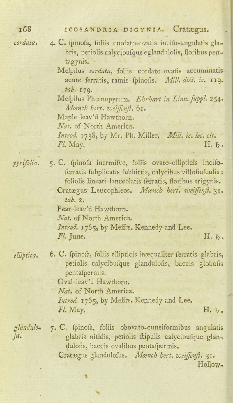 cordaia. fyrifolta. elliptic a. zlandulom o &gt;• 4. C. fpinofa, foliis cordato-ovatis incifo-angulatis gla- bris, petlolis calycibufque eglandulofis, floribus perl- tagynis. •Merpilus cordata^ foliis cordato-ovatis accuminatis acute ferratis, ramis fpinofis. Mill. didi. ic, iig. tab. 179. Mefpilus PhcEnopjTum. Ehrhart in Linn. fuppL 254* Mcench hort. weijfenji. 6r. Maple-leav’d Hawthorn. Nat. of North America. Introd. 1738, by Mr. Fh. Miller, Mill. ic. loc. cif. FI. May. H. Tj . 5. C. fpinofa inermifve, foliis ovato-ellipticis incifo- ferratis fubplicatis fubhirtis, calycibus villofiufculis : foliolis lineari-lanceolatis ferratis, floribus trigynis. ■ Crataegus Leucophleos. Mcench hort. weijfenji. 31, tab. 2. ' Pear-leav’d Hawthorn. Nat. of North America. Introd. 1765, by Meflfs. Kennedy and Lee. FI. June. H. T?. 6. C. fpinofa, foliis ellipticis inaequaliter ferratis glabris, petiolis- calycibufque glandulofls, baccis globofis pentafpermis. Oval-leav’d Hawthorn. Nat. of North America. Introd. 1765, by Mefl'rs. Kennedy and Lee. FL May, H. . 7. C. fpinofa, foliis obovato-cuneiformibus angulatis glabris nitidis, petiolis ftipulis calycibufque glan-, dulofis, baccis ovalibus pentafpermis. Crataegus glandulofus. Mcench hort. weijfenji. 31. HoUo'vv*