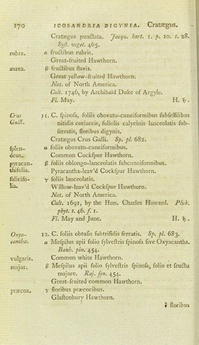 lyo rubra. aurea. Cras GsltL fplen- ^us.. pyracan- tbifolia. felicifo- lia. Oxya- cantha. vulgaris. major. praecox. ICOSANDRIA DIGYNIA. CratJCgllS. Crataegus punftata. 'Jacqu. hort. i. p, lo. i, 28. Syji. veget. 465. a fruclibus rubris. Great-fruited Hawthorn. ; 0 frudlibus flavis. Great yellow-fruited Hawthorn. Nat. of North America. Cult. 17465 by Archibald Duke of Argyle. FI. May. • H. ^. I 11. C. fpiiiofa, follls obovato-cuneiformibus fubfeflilibus nitidis coriaceis, foliolis calycinis lanceolatis fub- ferratis, floribus digynis. Crataegus Crus Galli. Sp. pi. 682. a foliis obovato-cuneiformibus. Common Cockfpur Hawthorn. ^ ^ foliis oblongo-lanceolatis fubcuneiformibus. Pyracantha-leav’d Cockfpur Hawthorn. y foliis lanceolatis. Willow'leav’d Cockfpur Hawthorn. Nat. of North America. Cult. 1691, by the Hon. Charles Howard. Pluk. phyi. t. 46.yi I. FI. May and June. H. ^ . 12. C. foliis obtufis fubtrifidis ferratls. Sp. pi. 683. a Mefpilus apii folio fylveftris fpinofa five Oxyacantha. Bauh. pin. 454. Common white Hawthorn. ^ Mefpilus apii folio fylveftris fpinofa, folio ct fruffu majore. Raj. fyn. 454. Great-fruited common Hawthorn. ^ y floribus praecocibus. Glaftonbury Haw’thorn. • floribus
