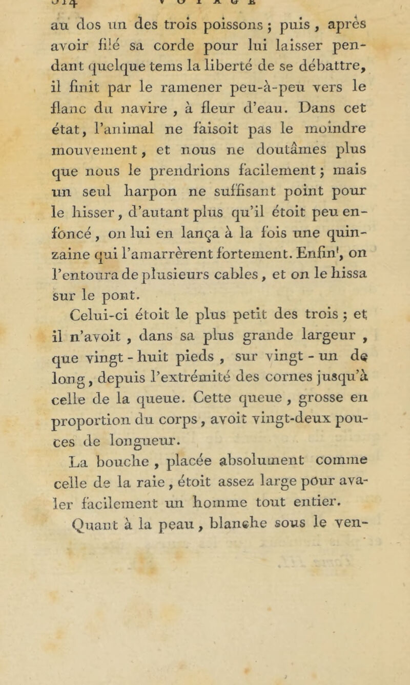 au dos un des trois poissons ; puis , après avoir filé sa corde pour lui laisser pen- dant quelque tems la liberté de se débattre, il finit par le ramener peu-à-peu vers le flanc du navire , à fleur d’eau. Dans cet état, l’animal ne faisoit pas le moindre mouvement, et nous ne doutâmes plus que nous le prendrions facilement ; mais un seul harpon ne suffisant point pour le hisser, d’autant plus qu’il étoit peu en- foncé , on lui en lança à la fois une quin- zaine qui l’amarrèrent fortement. Enfin1, on l’entoura de plusieurs cables, et on le hissa sur le pont. Celui-ci étoit le plus petit des trois ; et il n’avoit , dans sa plus grande largeur , que vingt - huit pieds , sur vingt - un de long, depuis l’extrémité des cornes jusqu’à celle de la queue. Cette queue , grosse en proportion du corps , avoit vingt-deux pou- ces de longueur. La bouche , placée absolument comme celle de la raie , étoit assez large pour ava- ler facilement un homme tout entier. Quant à la peau, blanche sous le ven-