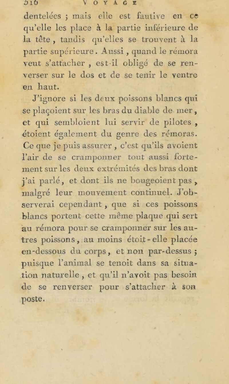 dentelées ; mais elle est fautive en ce qu’elle les place à la partie inférieure de la tête , tandis qu’elles se trouvent à la partie supérieure. Aussi, quand le rémora veut s’attacher , es t-il obligé de se ren - verser sur le dos et de se tenir le ventre en haut. J’ignore si les deux poissons blancs qui se plaçoient sur les bras du diable de mer, et qui sembloient lui servir de pilotes , étoient également du genre des rémoras. Ce que je puis assurer , c’est qu’ils avoient l’air de se cramponner tout aussi forte- ment sur les deux extrémités des bras dont j’ai parlé, et dont ils ne bougeoient pas , malgré leur mouvement continuel. J’ob- serverai cependant , que si ces poissons blancs portent cette même plaque qui sert au rémora pour se cramponner sur les au- tres poissons, au moins étoit-elle placée en-dessous du corps, et non par-dessus $ puisque l’animal se tenoit dans sa situa- tion naturelle , et qu’il n’avoit pas besoin de se renverser pour s’attacher à son poste.