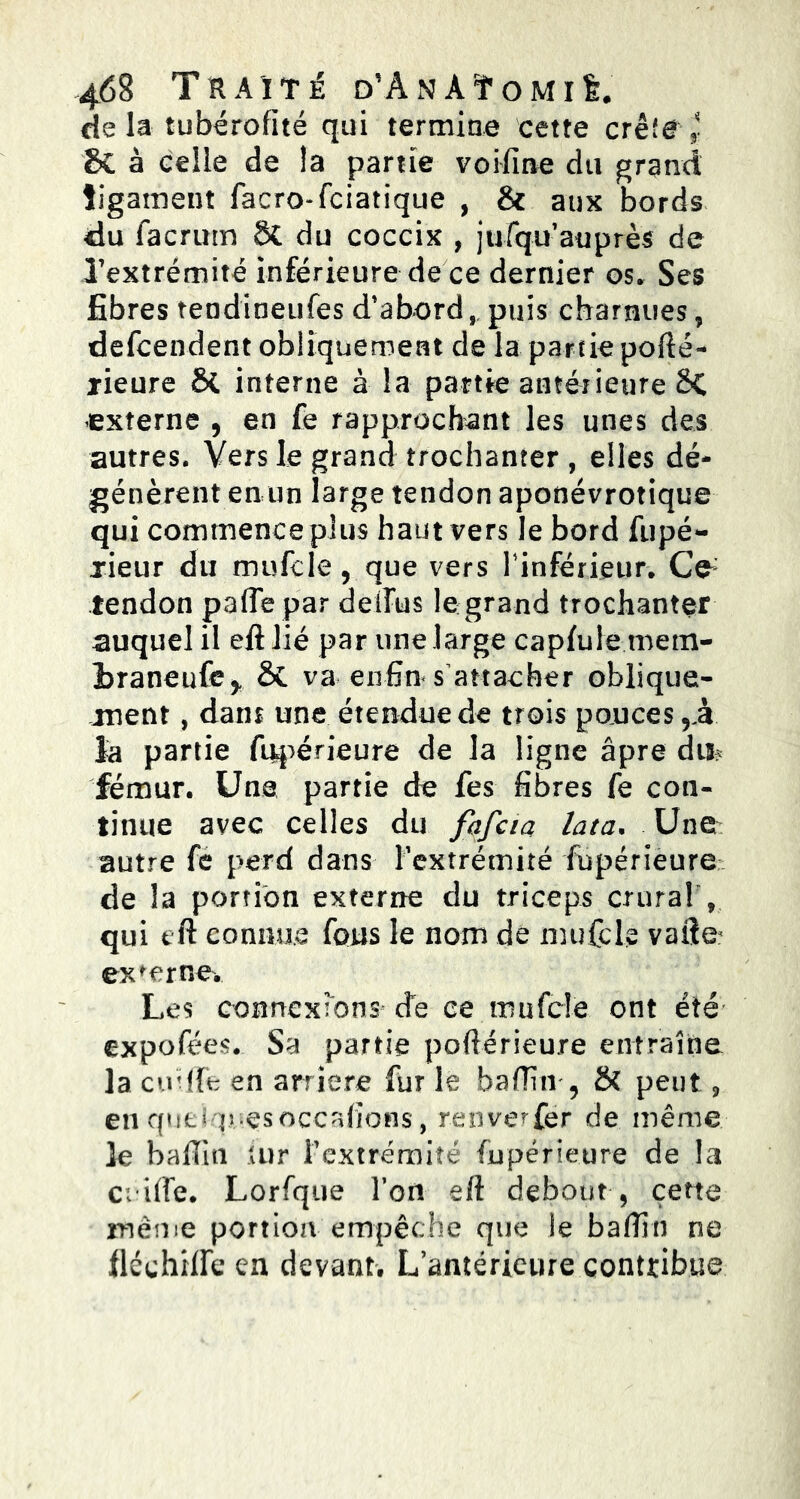 de la tubérofité qui termine cette crêîe l 8C à celle de la partie voifine du grand ligament facro-fciatique , & aux bords du facrum ÔC du coccix , jufqu’auprès de l’extrémité inférieure de ce dernier os. Ses fibres tendioeufes d’abord 9 puis charnues, defcendent obliquement de la partie pofté- jieure ÔC interne à la partie antérieure St externe , en fe rapprochant les unes des autres. Vers le grand trochanter , elles dé- génèrent en un large tendon aponévrotique qui commence plus haut vers le bord fupé- xieur du mufcle, que vers l'inférieur. Ce: tendon paflepar delTus le grand trochanter auquel il efl lié par une large capiuie mem- Lraneufc* & va enfin* s’attacher oblique- ment , dans une étendue de trois ponces,A. fa partie fupérieure de la ligne âpre du? fémur. Une partie de fes fibres fe con- tinue avec celles du fafcia lata. Une autre fe perd dans l’extrémité füpérièure de la portion externe du triceps crural , qui tft connue fous le nom de mufcle valiez externe. Les connexions de ce mufcle ont été- expofées. Sa partie pofiérieure entraîne la cm (Te en arriéré fur le badin-, & peut 9 en queiquesoccafions, renverfer de même le badin tur l’extrémité fupérieure de la ceifle. Lorfque l’on eft debout , cette même portion empêche que le badin ne fiéehilfe en devant. L’antérieure contribue