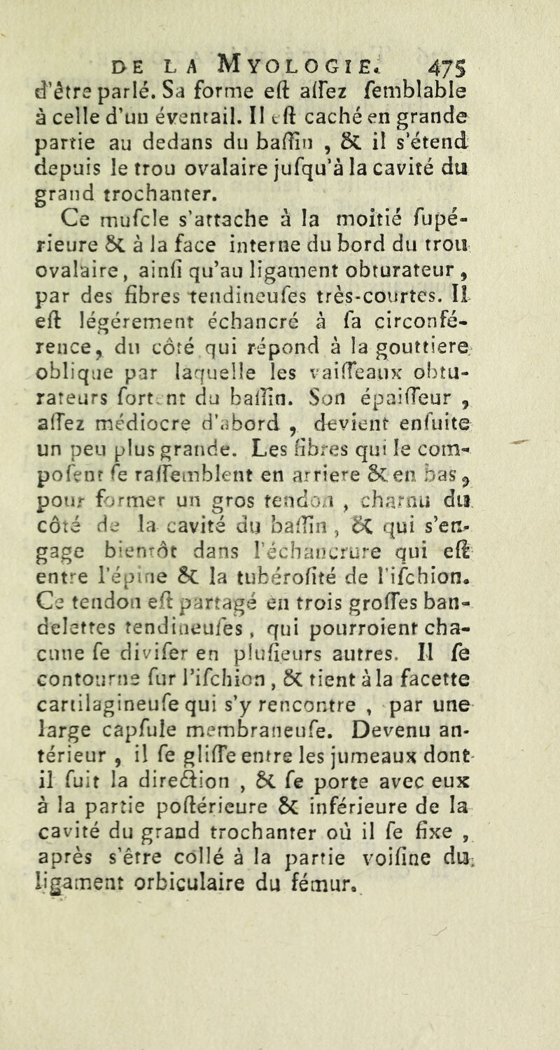 d’être parlé. Sa forme eft aifez femblable à celle d’un éventail. Il t ft caché en grande partie au dedans du baffin , & il s’étend depuis le trou ovalaire jufqu’à la cavité du grand trochanter. Ce mufcle s’attache à la moitié fupé- rieure St à la face interne du bord du trou ovalaire, ainKi qu’au ligament obturateur 9 par des fibres tendineufes très-courtes. II eft légèrement échancré à fa circonfé- rence, du côté qui répond à la gouttière oblique par laquelle les vaifFeaux obtu- rateurs fort, nt du badin. Son épaifteur r allez médiocre d’abord , devient enfuite un peu plus grande. Les fibres qui le coin- pofenr Te raftemblent en arriéré Sten bas^ pour former un gros tendon , charnu du côté de la cavité du baffin , St qui s’en- gage bientôt dans l’échancrure qui eft entre l'épine St la tubérofité de l’ifchion. Ce tendon eft partagé en trois grolTes ban- delettes tendineuiès, qui pourroient cha- cune fe divifer en plufieurs autres. Il fe contourne fur l’ifchion , St tient à la facette cartilagineufe qui s’y rencontre , par une large capfule membraneufe. Devenu an- térieur 9 il fe glifte entre les jumeaux dont- il fuit la direction , St fe porte avec eux à la partie poftérieure St inférieure de la cavité du grand trochanter où il fe fixe , après s’être collé à la partie voifine di3; ligament orbiculaire du fémur.