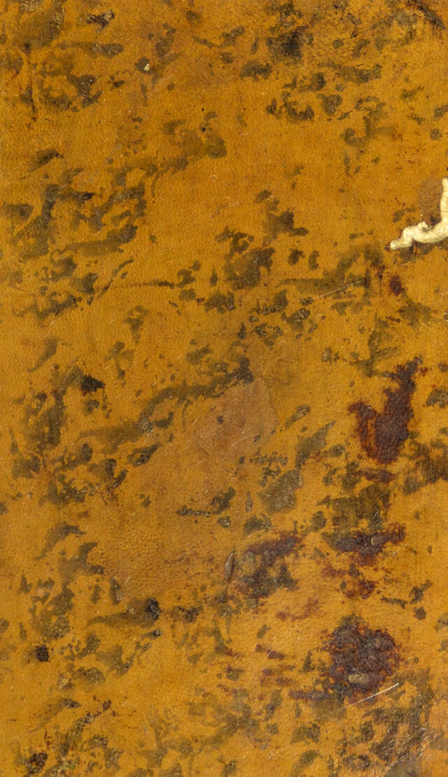 No text description is available for this image