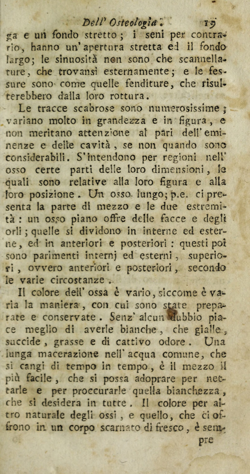 e un fondo stretto ; i seni per contra- rio, hanno un’apertura stretta ed il fondo largo; le sinuosità non sono che scannella^ ture, cdie trovansì esternamente; e le fes- sure sono- come q-uelle fenditure, che risul- terebbero dalla loro rottura. Le tracce scabrose sono numerosissime ; variano molto in grandez’za e in figura, e non meritano attenzione af pari dell’emi- nenze e delle cavità , se non quando sono considerabili. S’intendono per regioni nell* osso certe parti delle loro dimensioni, le quali sono relative alla loro figura e alla loro posizione . Un osso^ lungo; p.e, ci pre- senta la parte di mezzo e le due estremi- tà : un osso piano offre delle facce e degli orli ; quelle si dividono in interne ed ester- ne, ed In anteriori e posteriori : questi poi sono parimenti internj ed esterni , superio- ri , ovvero anteriori e posteriori, secondo le varie circostanze . Il colore dell’ossa è vario, siccome è va-~ ria la maniera-, con cui sono s^te prepa^- rate e conservate . Senz’alcun subbio pia- ce meglio di averle bianche , che gialle, succide , grasse e di cattivo odore . Una lunga macerazione nell'acqua comune, che si cangi di tempo in tempo , è il mezzo U pià facile , che si possa adoprare per net- tarle e per proccurarle quella bianchezza , che si desidera in tutte , Il colore per al- tro naturale degli ossi , e quello, che cl of- frono in un corpo scarnato dì fresco, è se:u-^ pre