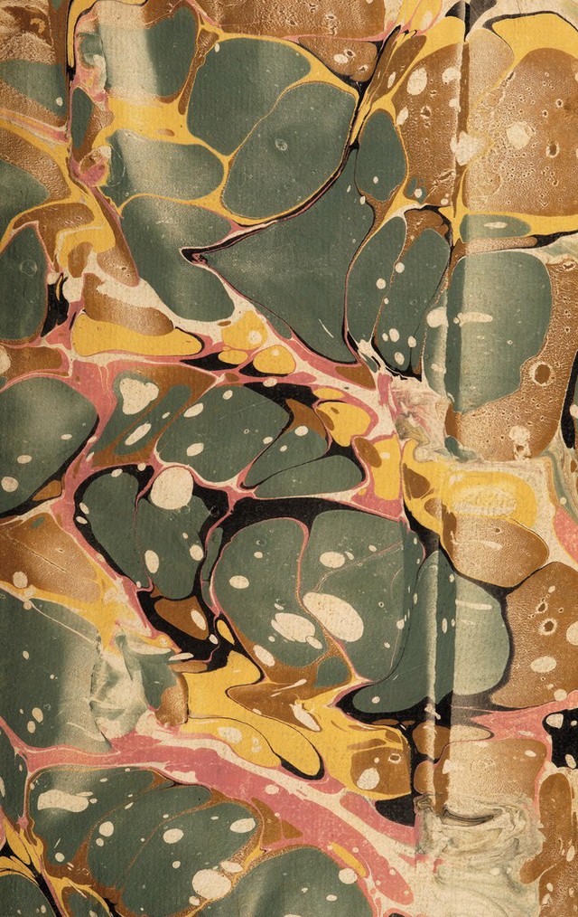 No text description is available for this image