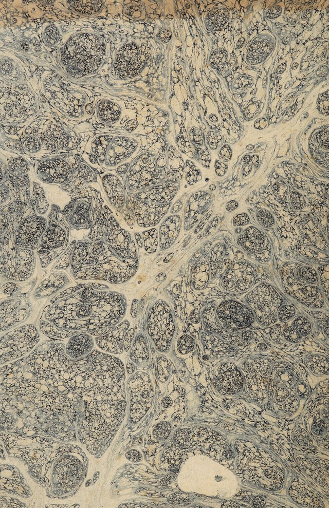 digitised image 2