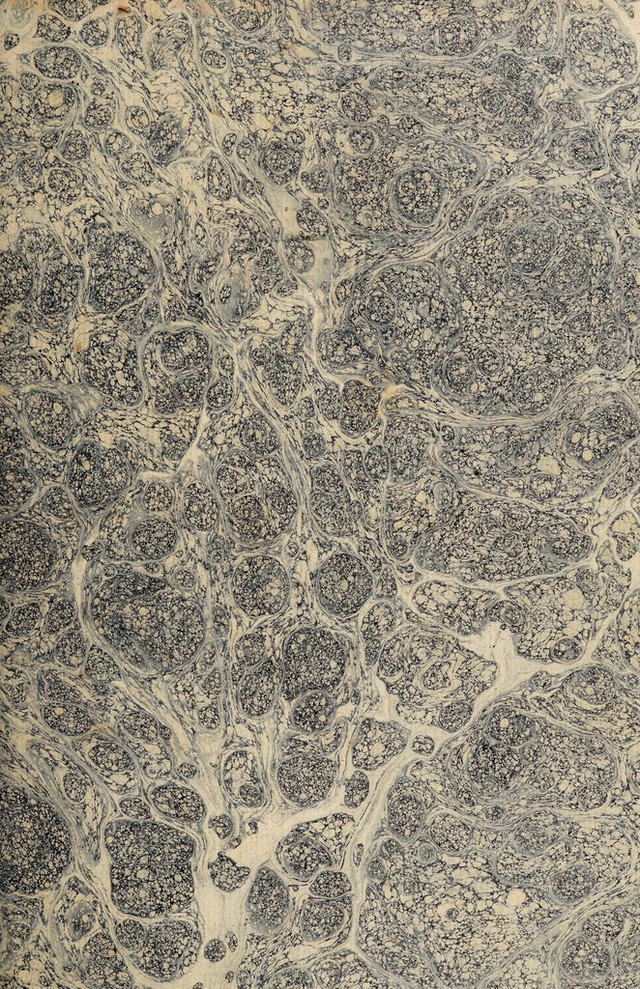 digitised image 3