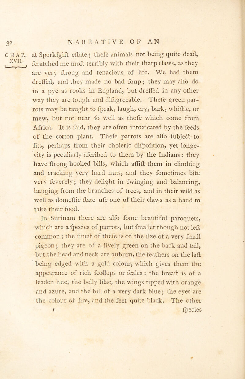 C H A P. XVII. at Sporkfgift eftate ; thefe animals not being quite dead, fcratched me molt terribly with their fharp claws, as they are very ftrong and tenacious, of life. We had them dreffed, and they made no bad foup; they may alfo do in a pye as rooks in England, but dreffed in any other way they are tough and difagreeable. Thefe green par- rots may be taught to fpeak, laugh, cry, bark, whiffle, or mew, but not near fo well as thofe which come from Africa. It is faid, they are often intoxicated by the feeds ♦ of the cotton plant. Thefe parrots are alfo fubjeft to fits, perhaps from their choleric difpofition, yet longe- vity is peculiarly afcribed to them by the Indians: they have ftrong hooked bills, which affift them in climbing and cracking very hard nuts, and they fometimes bite very feverely; they delight in fwinging and balancing, hanging from the branches of trees, and in their wild as well as domeftic ftate ufe one of their claws as a hand to take their food. In Surinam there are alfo fame beautiful paroquets, which are a fpecies of parrots, but fmaller though not lefs common ; the fineft of thefe is of the fize of a very fmall pigeon; they are of a lively green on the back and tail, but the head and neck are auburn, the feathers on the laft being edged with a gold colour, which gives them the appearance of rich fcoilops or fcales : the breaft is of a leaden hue, the belly lilac, the wings tipped with orange and azure, and the bill of a very dark blue; the eyes are the colour of fire, and the feet quite black. The other x fpecies