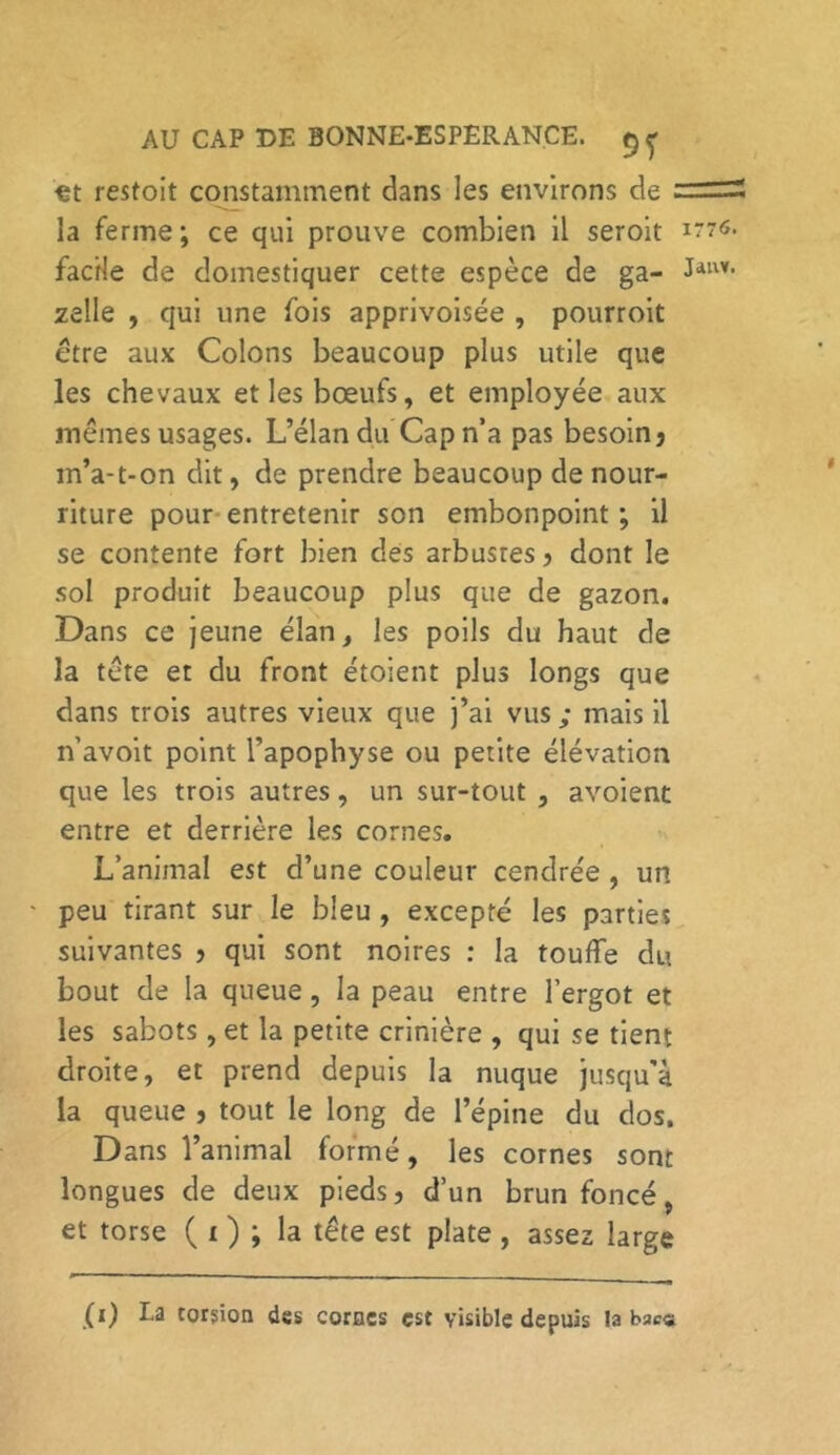 €t restoit constamment dans les environs de la ferme ; ce qui prouve combien il seroit facile de domestiquer cette espèce de ga- zelle , qui une fois apprivoisée , pourroit être aux Colons beaucoup plus utile que les chevaux et les bœufs, et employée aux memes usages. L’élan du Cap n’a pas besoin3 in’a-t-on dit, de prendre beaucoup de nour- riture pour entretenir son embonpoint ; il se contente fort bien des arbustes , dont le sol produit beaucoup plus que de gazon. Dans ce jeune élan, les poils du haut de la tète et du front étoient plus longs que dans trois autres vieux que j’ai vus ; mais il n’avoit point l’apophyse ou petite élévation que les trois autres, un sur-tout , avoient entre et derrière les cornes. L’animal est d’une couleur cendrée , un peu tirant sur le bleu , excepté les parties suivantes , qui sont noires : la touffe du bout de la queue, la peau entre l’ergot et les sabots, et la petite crinière , qui se tient droite, et prend depuis la nuque jusqu'à la queue , tout le long de l’épine du dos. Dans l’animal formé, les cornes sont longues de deux pieds, d’un brun foncé et torse ( i ) ; la tête est plate , assez large (i) La torsion des cornes est visible depuis la bac«