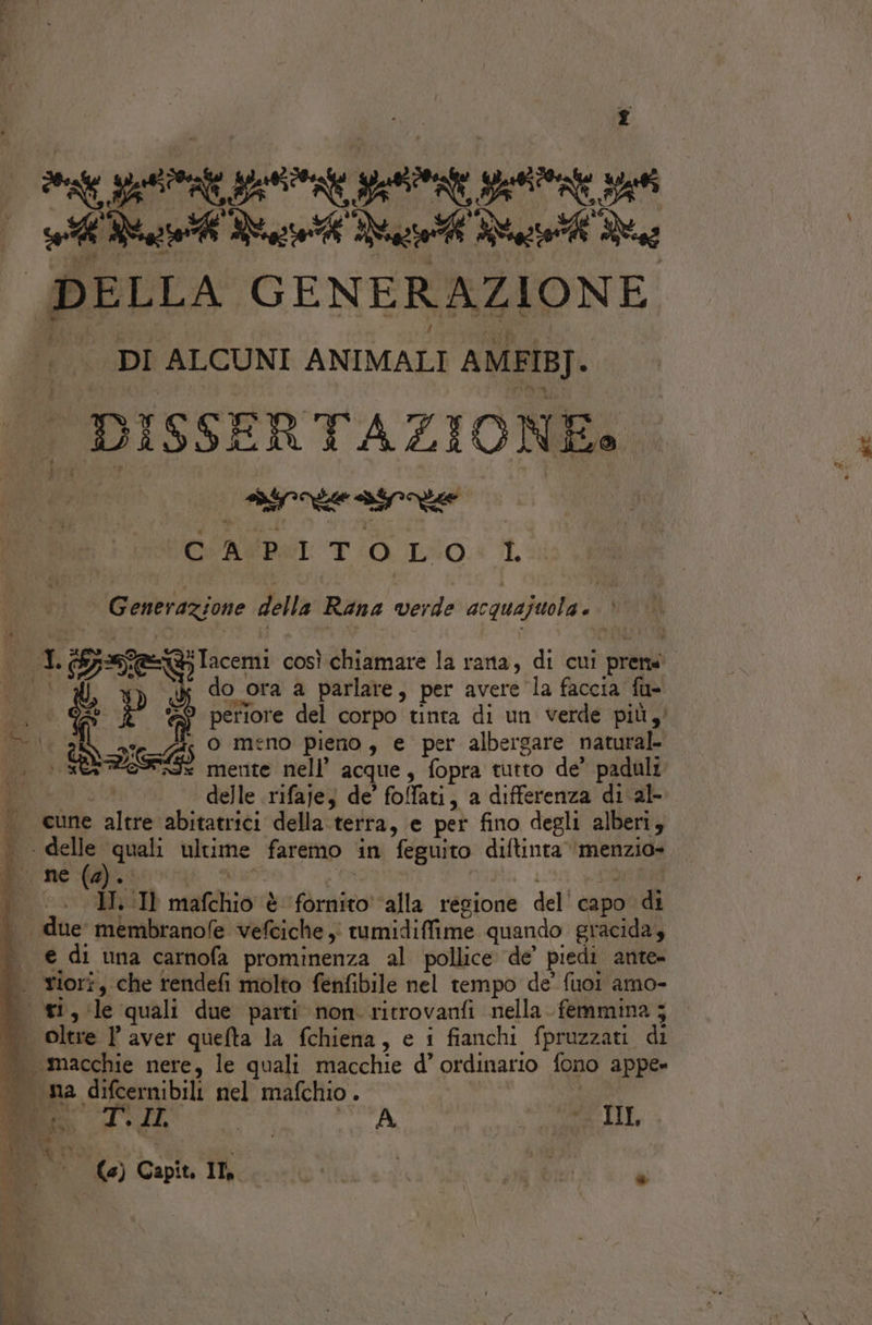 s PRIUTTARIZ N RI e | e Nail Rai Nail Mt de DELLA GENERAZIONE | | DI ALCUNI ANIMALI AMFIB]. | DISSERTAZIONE: CUARSPÒNI T 0..E:0.* I. bi | Gunbratione della Rino verde acquajuola LG A2Y Tcen così Hituire la rana i di cui pet do ora a parlare, per avere la faccia fu- “9 periore del corpo tinta di un verde più’ uo Ù 5 14 s ’ “5 0 meno pieno, e per albergare natural ua ES DG ded mente nell’ acque, fopra tutto de’ paduli que, i0p &lt; delle rifaje; de’ fofati, a differenza di al- «cune altre abitatrici della.terra, e pet fino degli alberi, . delle quali ultime faremo in feguito diftinta ‘menzio- gi ne(è).: 9 e 0a sr dr Ra II. Il mafchio è fornito ‘alla regione del capo di ._. due membranofe vefciche , rumidiffime quando gracida, «€ di una carnofa prominenza al pollice de’ piedi ante |. viori, che rendefi molto fenfibile nel tempo de’ fuoi amo- = tri, ‘le quali due parti non ritrovanfi nella femmina ; oltre Paver quefta la fchiena, e i fianchi fpruzzati di | macchie nere, le quali macchie d’ ordinario fono appe» ma difcernibili nel mafchio. | Mu FIL | A 00 BL RO fe °° (e) Capit, ILL