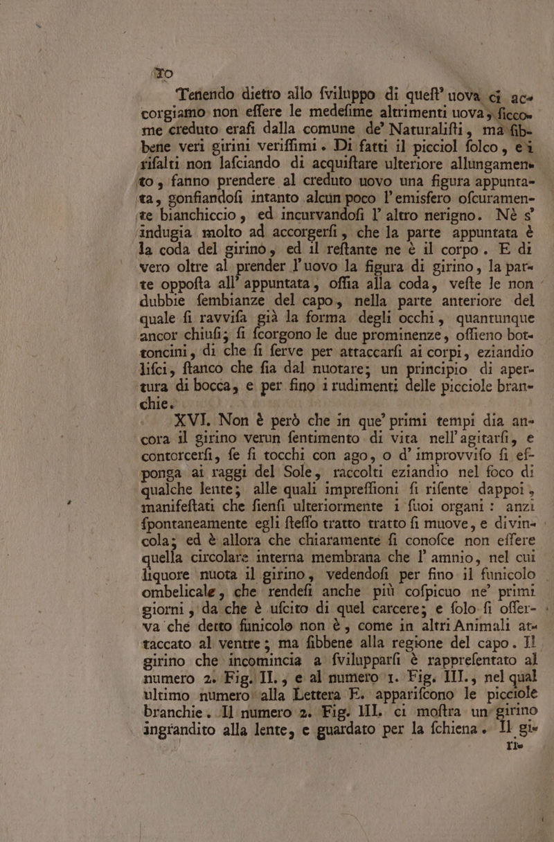 TO Tenendo dietro allo fviluppo di queft” uova ci ace corgiamo» non effere le medefime altrimenti uova; ficco» me creduto erafi dalla comune de’ Naturalifti, ma fb- bene veri girini veriffimi. Di fatti il picciol folco, ei rifalti non lafciando di acquiftare ulteriore allungamene ‘to 3 fanno prendere al creduto uovo una figura appunta» «ta, gonfiandofi intanto alcun poco l'emisfero ofcuramen- ste bianchiccio $ ed incurvandofi l’ altro nerigno. Nè s° ‘indugia molto ad accorgerfi, che la parte appuntata è la coda del girino, ed il reftante ne è il corpo. E di vero oltre al prender l'uovo la figura di girino, la par= te oppofta all’ appuntata, offia alla coda, vefte le non dubbie fembianze del capo, nella parte anteriore del quale fi ravvifa già la forma degli occhi, quantunque ancor chiufi; fl fcorgono le due prominenze, offieno bot= toncini, di che fi ferve per attaccarfi ai corpi, eziandio lifci, ftanco che fia dal nuotare; un principio di aper- ‘tura di bocca, e per fino irudimenti delle picciole bran= chie. XVI. Non è però che in que’ primi tempi dia an- cora il girino verun fentimento di vita nell’agitarfi, e contorcerfi, fe fi tocchi con ago, o d’ improvvifo fi ef- ponga ai raggi del Sole, raccolti eziandio nel foco di qualche lente; alle quali impreffioni fi rifente dappoi , manifeftati che fienfi ulteriormente 1 fuoi organi : anzi fpontaneamente egli fteffo tratto tratto fi muove, e divin= . cola; ed è allora che chiaramente fi conofce non effere uella circolare interna membrana che l' amnio, nel cui liquore nuota il girino, vedendofi per fino il funicolo — ombelicale, che rendefi anche più cofpicuo ne’ primi giorni 3 da che è ufcito di quel carcere; e folo fi offer- &gt; va che detto funicolo non è, come in altri Animali at« taccato al ventre; ma fibbene alla regione del capo. I! girino che incomincia a fvilupparfi è rapprefentato al numero 2 Fig. II., e al numero 1. Fig. III., nel qual ultimo numero ‘alla Lettera F. apparifcono le picciole branchie . .Il numero 2. Fig. MII. ci moftra une girino ingrandito alla lente, e guardato per la fchiena.. Il gie ÈTlo