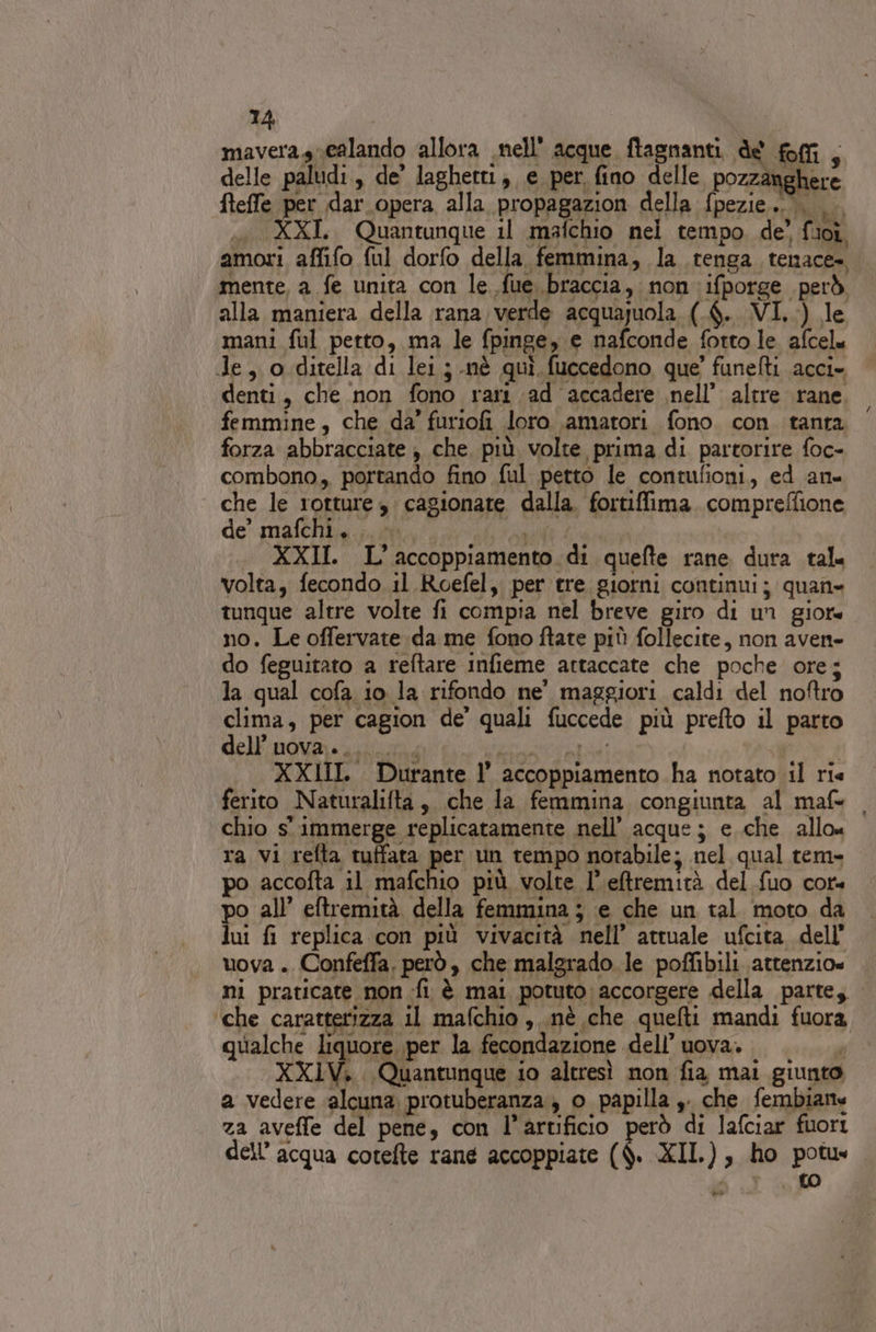 1A mavera sg ealando allora nell' acque ftagnanti de ff, delle paludi, de’ laghetti, e per fino delle pozzanghere fteffe per dar opera alla propagazion della f{pezie..... |. «i XXL. Quantunque il mafchio nel tempo de’ fioî. amori affifo ful dorfo della femmina, la tenga tenace. mente, a fe unita con le. fue braccia, non ifporge però alla maniera della rana verde acquajuola (6. VI.) le mani ful petto, ma le fpinge, e nafconde fotto le afcele de, o.ditella di lei; nè quì fuccedono que’ funefti acci- denti, che non fono rari ad accadere nell’ altre rane. femmine, che da’ furiofi loro (amatori fono. con. tanta forza abbracciate, che più volte prima di partorire foc- combono, portando fino ful petto le contufioni, ed an. che le rotture cagionate dalla. fortiffima. compreffione de’ mafchi, XXII. L' accoppiamento di quefte rane dura tal. volta, fecondo il Roefel, per tre giorni continui; quane tunque altre volte fi compia nel breve giro di un giore no. Le offervate da me fono ftate più follecite, non aven- do feguirato a reftare Infieme attaccate che poche ore; la qual cofa io la rifondo ne’ maggiori caldi del noftro clima, per cagion de’ quali fuccede più prefto il parto dell'uova,. ji gi finte , XXIII: Durante l’ accoppiamento ha notato il ris ferito Naturalifta, che la femmina congiunta al maf- chio s' immerge replicaramente nell’ acque; e che allo« ra Vi i edi per un tempo notabile; nel qual tem» accofta il SR, più volte l’eftremirà del fuo core po all’ eftremità della femmina; e che un tal. moto da lui fi replica con più vivacità nell’ attuale ufcita. dell’ uova . Confeffa, però, che malgrado le poffibili attenzio« ni praticare non «fi è mai potuto accorgere della parte, ‘che caratterizza il mafchio , nè che quelti mandi fuora gle: Lepore per la fecondazione dell’ uova. } XXXIV. Quantunque io altresì non fia mai giunto a vedere ‘alcuna protuberanza , o papilla s. che fembiane za aveffe del pene, con l’artificio ds di lafciar fuort dell’ acqua cotelte rane accoppiate ($. XII.), ho potus