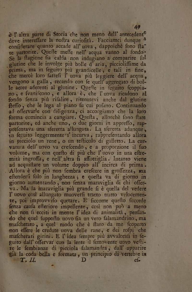è P altra parte di Storia che non meno dell’ antecedent® deve. intereffare la noftra curiofità. Facciamei dunque * confiderate quanto accade all’ uova, dappoichè fono fta” te partorite. Quefte mefle nell’ acqua vanno al fondo» Sè la ftagione fia calda non indugiano a comparire ful «glutine che le involge più bolle d’ aria, piccioliffime da ‘prima, ma in feguito più grandicelle} e tali in fine, che mercè loro fattefi l uova più leggiere dell’ acqua, ‘vengono a galla, recando con fe quell’ aggregato di bol- le aeree aderenti al glutine. Quefte in feguito fcoppia- no; e fvanifcono, e allora è, che l’uova ricadono al fondo fenza più rifalite, ritenutevi anche dal glutine fteffo, che le lega al piano fu cui pofano. Continuando ad offervarle con diligenza, ci accorgiamo che la loro ‘forma comincia a cangiare. Quefta, allorchè fono ftate partorite, ed anche uno, o due giorni in appreffo, rap- prefentava una sferetta allungata. La sferetta adunque, si fesuito leggermente*s' incurva , rapprefentando allora in picciolo un rene, o un tefticolo di galletto. La cut vatura dell’ uovo va crefcendo, e a proporzione il fuo volume; ma con quefto di più che l'uovo in una eftre- mità ingroffa, e nell’ altra fi affottiglia. Intanto viene ‘ad acquiftare un volume doppio all’ incirca di prima. | Allora è che più non fembra crefcere in groffezza, ma eftenderfi folo in lunghezza ; e quelta va di giorno in giorno aumentando , non fenza maraviglia di chi offer= va. Ma'la maraviglia più grande fi è quella del vedere Y uovo così allungato muoverfìi tratto tratto velocemen= te, poi improvvifo quetare. E ficcome quefto fuccede fenza caufa efteriore impellente, così non può ‘a meno che non fi‘ecciti in mente l’idea di animalità, penfan do che quel fuppoftò novo fia un vero falamandrino , ma mafcherato , a quel’ modo che è ftaro da me fcoperto non effere le credute uova delle rane, e dei rofpi che mafcherati girini. E l’idea fempre più avvalorafi in fe- ‘guito dall’ offervar con la lente 11 femovente uovo vefti- re le fembianze di ‘picciola falamandra} dall’ sapparire ‘già la coda'bella e formata, ùn-principio di vertebre in SIL, IL D ele