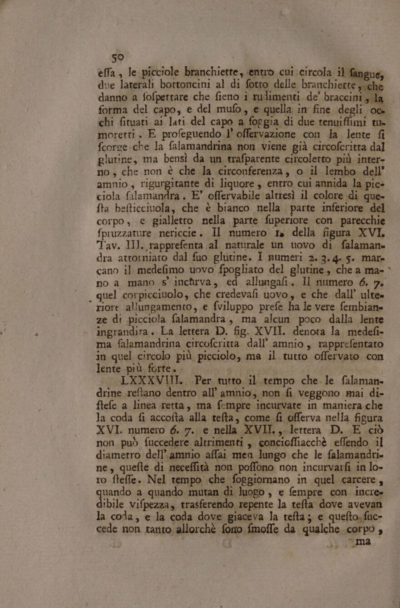 * effa , le picciole branchiette, entro cui circola il fangue, due laterali bottoncini al di fotro delle branchiette ,. che danno a fofpettare che fieno î rudimenti de’ braccini, la forma del capo, e del mufo, e quella in fine degli oc. chi fituati ai lati del capo a foggia di due tenuiffimi tu moretti. E profeguendo 1’ offervazione con la lente fi fcorge.che la falamandrina non viene già circofcritta dal glutine, ma bensì da un trafparente citcoletto più inter- no, che non è che la circonferenza, o il lembo dell’ amnio, rigurgitante di liquore, entro cui annida la pic- ciola falamandra. E’ offervabile ‘altresì il colore di que- fta befticciuola, che è bianco nella parte inferiore del corpo, e gialletrto nella parte fuperiore con. parecchie fpruzzature nericcie. Il numero ta della figura XVI, Tav. III. rapprefenta al naturale un uovo di falamane dra attorniato dal fuo glutine. I numeri 2.3.4. s. mar. cano il medefimo uovo fpogliato del glutine, che a ma- quel corpicciuolo; che credevafi uovo, e che dall’ ulre= riore allungamento, e fviluppo prefe ha le vere fembian» ze di picciola falamandra, ma alcun poco dalla lente ingrandira. La lettera D. fig. XVII. denota la. medefi- ma falamandrina circofcritta dall’ amnio, rapprefentato in quel circolo più picciolo, ma il tutto offervato con lente più forte. | LXXXVIII. Per tutto il tempo che le falaman. drine reftano dentro all’ amnio; non fi veggono mai di- ftefe a linea retta, ma fempre incurvate in maniera che la coda fi accofta alla tefta, come fi offerva nella figura XVI. numero 6.7. e nella XVII., lettera D. E ciò non può fuccedere altrimenti, concioffiacchè effendo il diametro dell’. amnio affai men lungo che le falamandri» ne, quefte di neceffità non poffono non incurvarfi in lo- ro fteffe. Nel tempo che foggiornano in quel carcere, quando a quando mutan di luogo , e fempre con incre- d:bile vifpezza, trasferendo repente la tefta dove avevan la coda, e la coda dove giaceva la tefta; e quefto. fuc- cede non tanto allorchè fono fmoffe da qualche corpo , ma » £