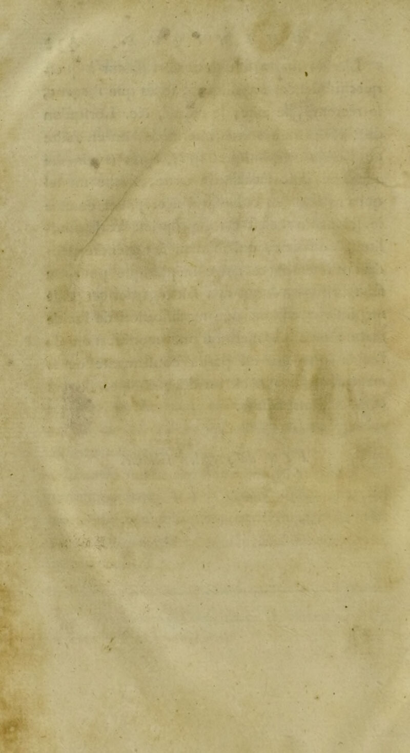 T' r ' t* ^ ♦ --Æ ^ S, - tj' . ■ • W - ’mç'- 7'^- .7«> *r-/- '.:L ■ • ■.'?*'* '■ • >•*:. .’: t-»- Ê^ -- ’■ ..îil ■M ■ l- ^.. ^7' ’A- 'S . .r î » -• .-vO*i. , ÿ^:»L . ■ r r V,' C:^:' /