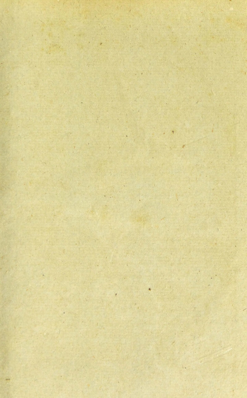 *„ / J i^'y*s- 1^; -f -- ; ' t' ' fC- ^■:- 'm: I ~r ^ t ’ t ,V/ *r