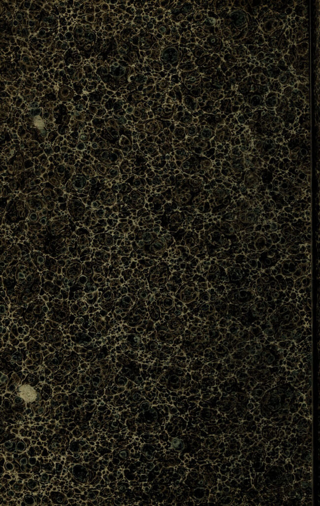 digitised image 2