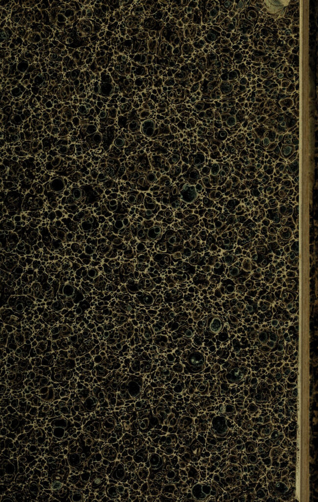 digitised image 3