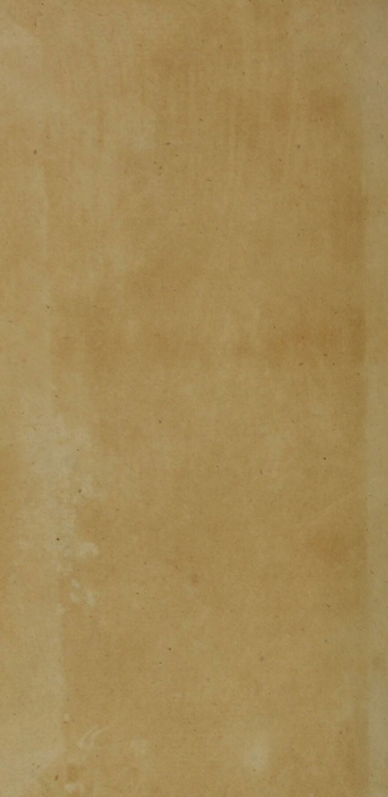 m -iSi Kv y V *» ..' .■/^‘ . 4