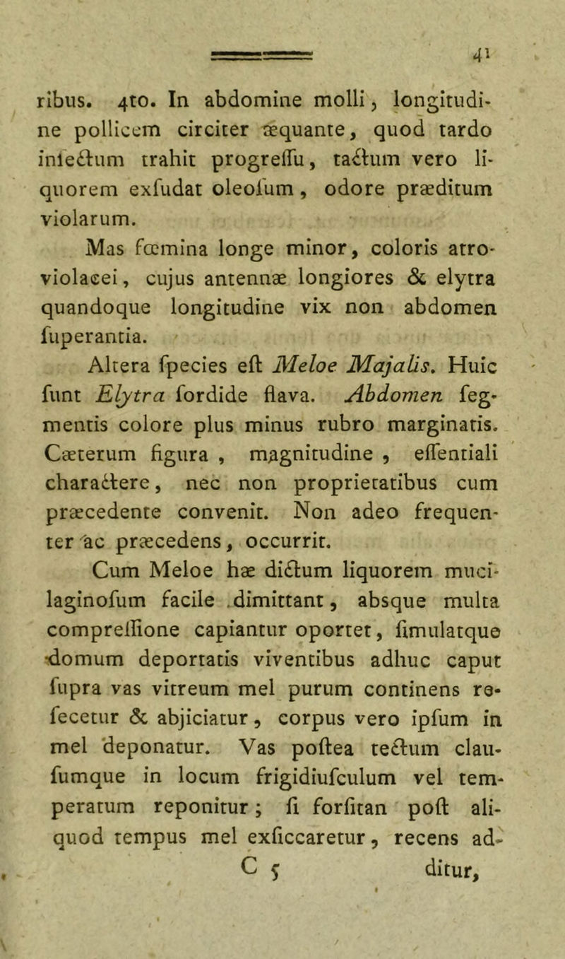 ribiis. 4to. In abdomine molli, longitudi- ne pollicem circiter aequante, quod tardo inledhim trahit progreflu, ta^him vero li- quorem exfudat oleolum , odore praeditum violarum. IVIas focmina longe minor, coloris atro- violacei, cujus antennae longiores &amp; elytra quandoque longitudine vix non abdomen fuperantia. Altera fpecies eft Meloe Majalis, Huic funt Elytra fordide flava. Abdomen Teg- mentis colore plus minus rubro marginatis. Caeterum figura , magnitudine , eflentiali charactere, nec non proprietatibus cum praecedente convenit. Non adeo frequen- ter ac praecedens, occurrit. Cum Meloe hae diCtum liquorem muci- laginofum facile .dimittant, absque multa comprellione capiantur oportet, fimulatquo •domum deportatis viventibus adhuc caput fupra vas vitreum mei purum continens re- fecetur &amp; abjiciatur, corpus vero ipfum in mei ‘deponatur. Vas poflea te£tum clau- fumque in locum frigidiufculum vel tem- peratum reponitur; fi forfitan pofl ali- quod tempus mei exficcaretur, recens ad- C ^ ditur.